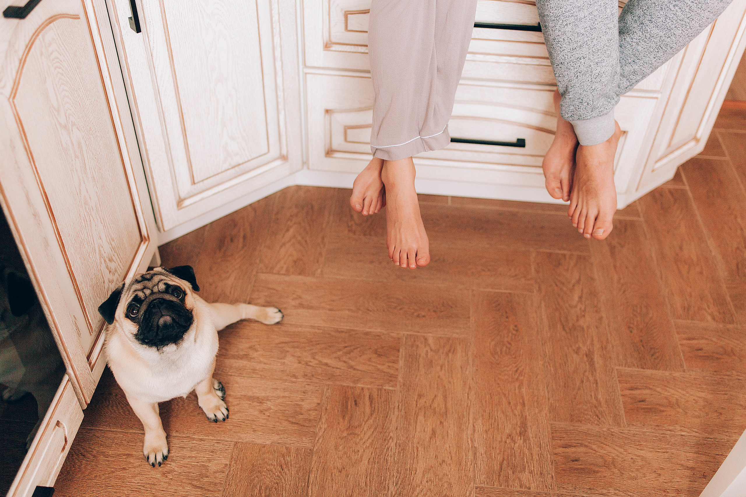 I&M. Пушистая Сова - Свадебный и портретный фотограф Воронеж, Москва, Питер