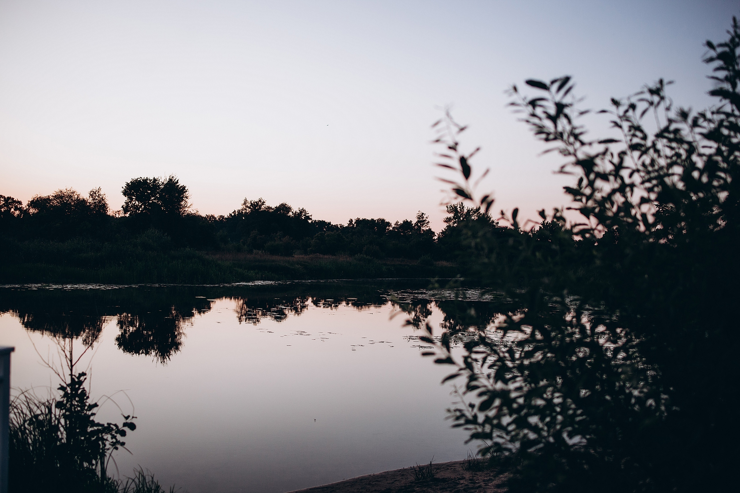 A&A. Пушистая Сова - Свадебный и портретный фотограф Воронеж, Москва, Питер