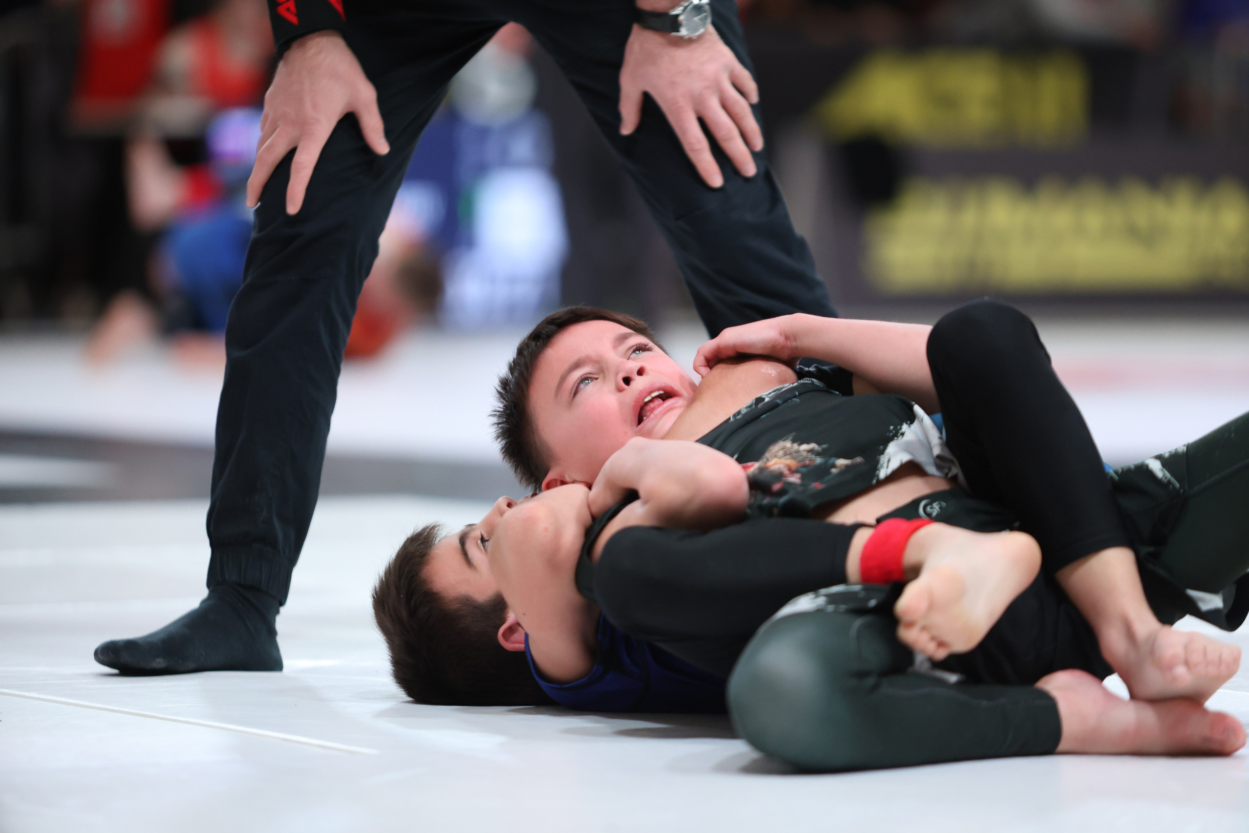 ACBJJ WORLD CHAMPIONSHIP 2023. Репортажный, Event фотограф в Санкт-Петербурге и ЛО Морозов Дмитрий