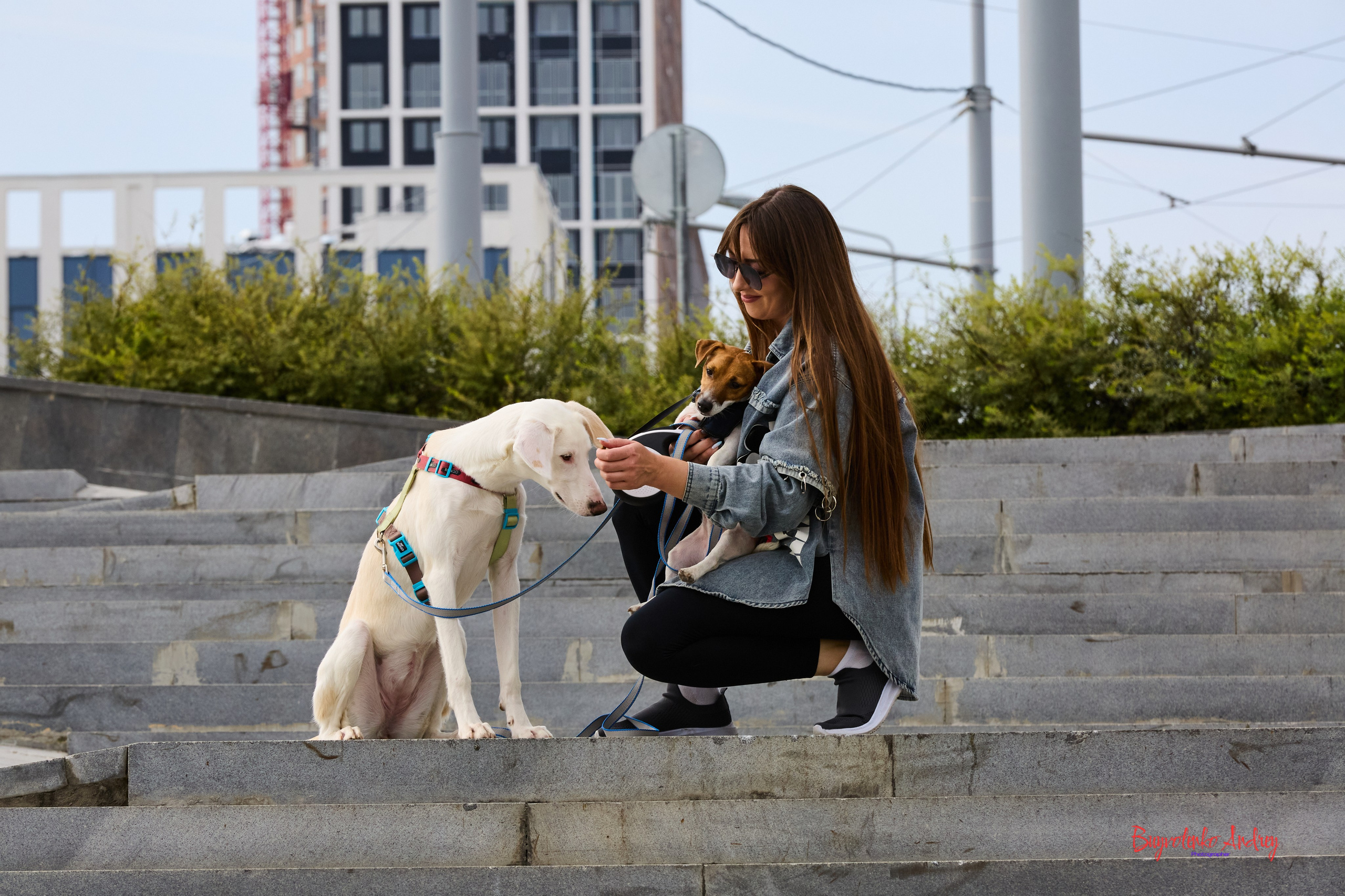 Проект фотопрогулка с хвостиком. Buyvolenko Andrey