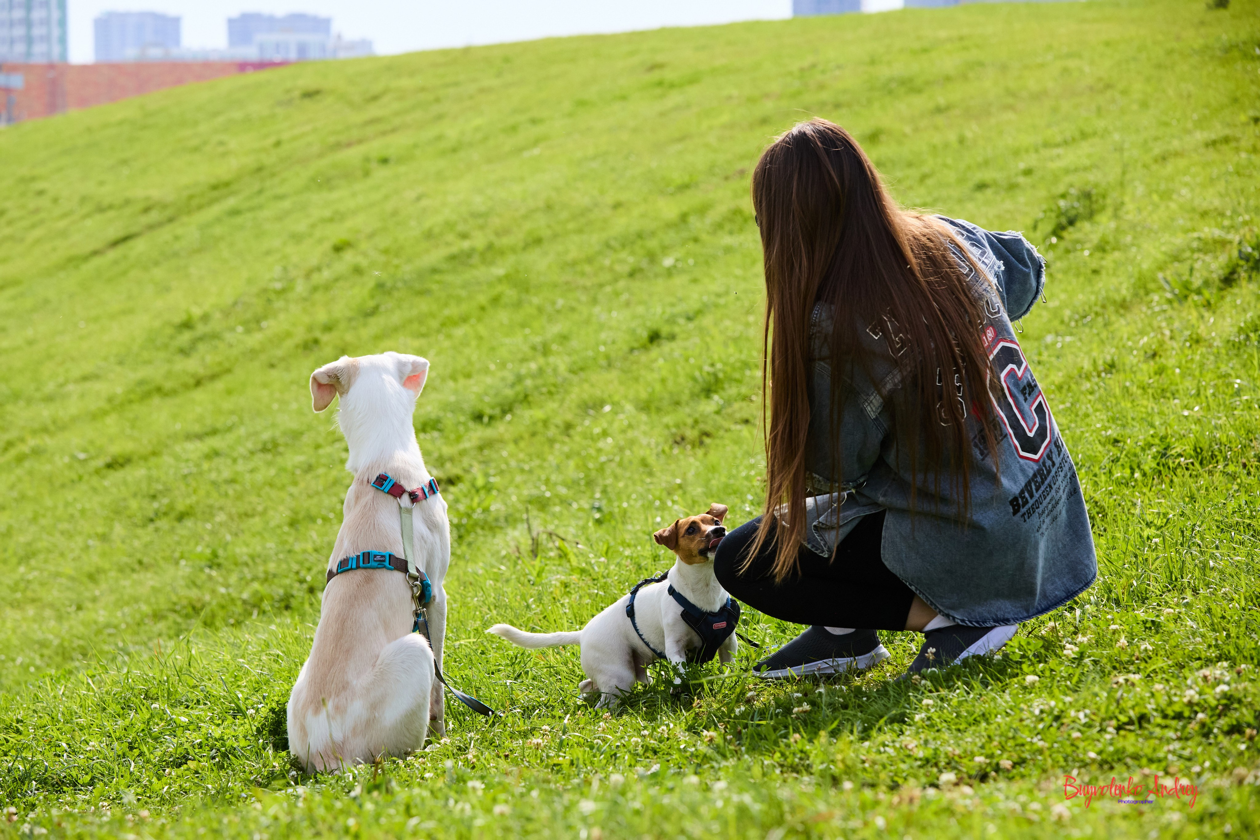 Проект фотопрогулка с хвостиком. Buyvolenko Andrey