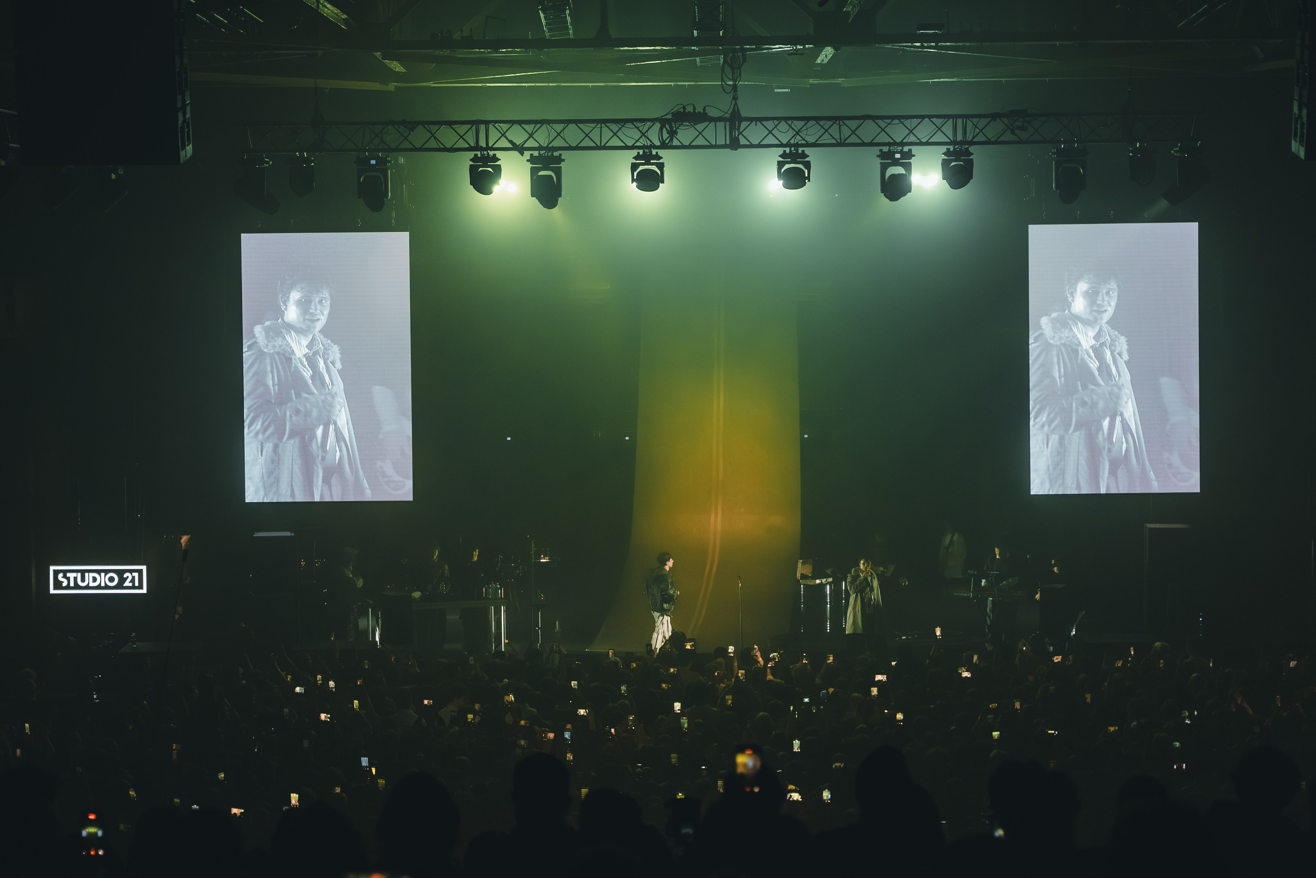 SALUKI. Фотограф Санкт-Петербурга