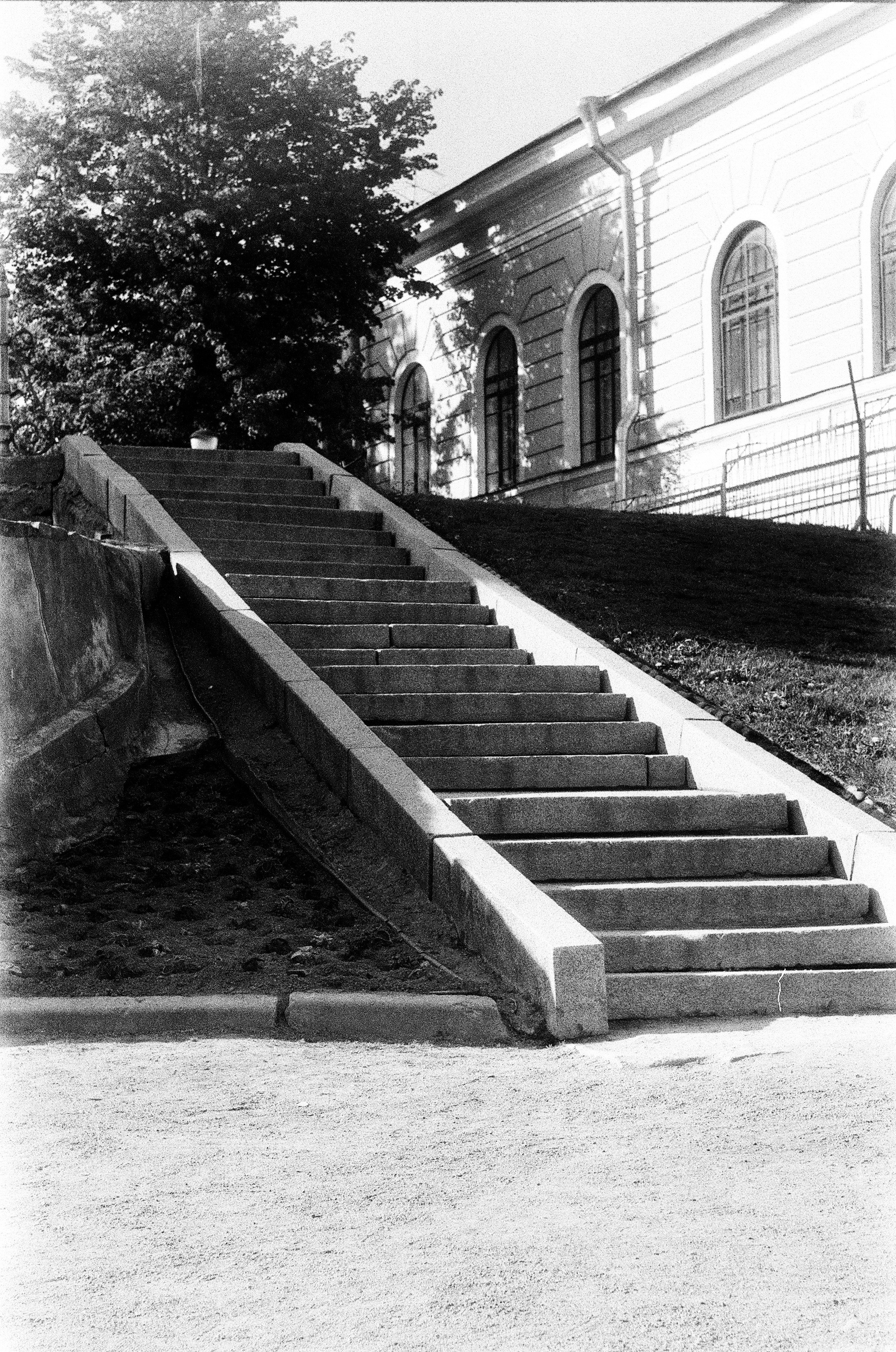 LIFE. Zheltokhov Egor