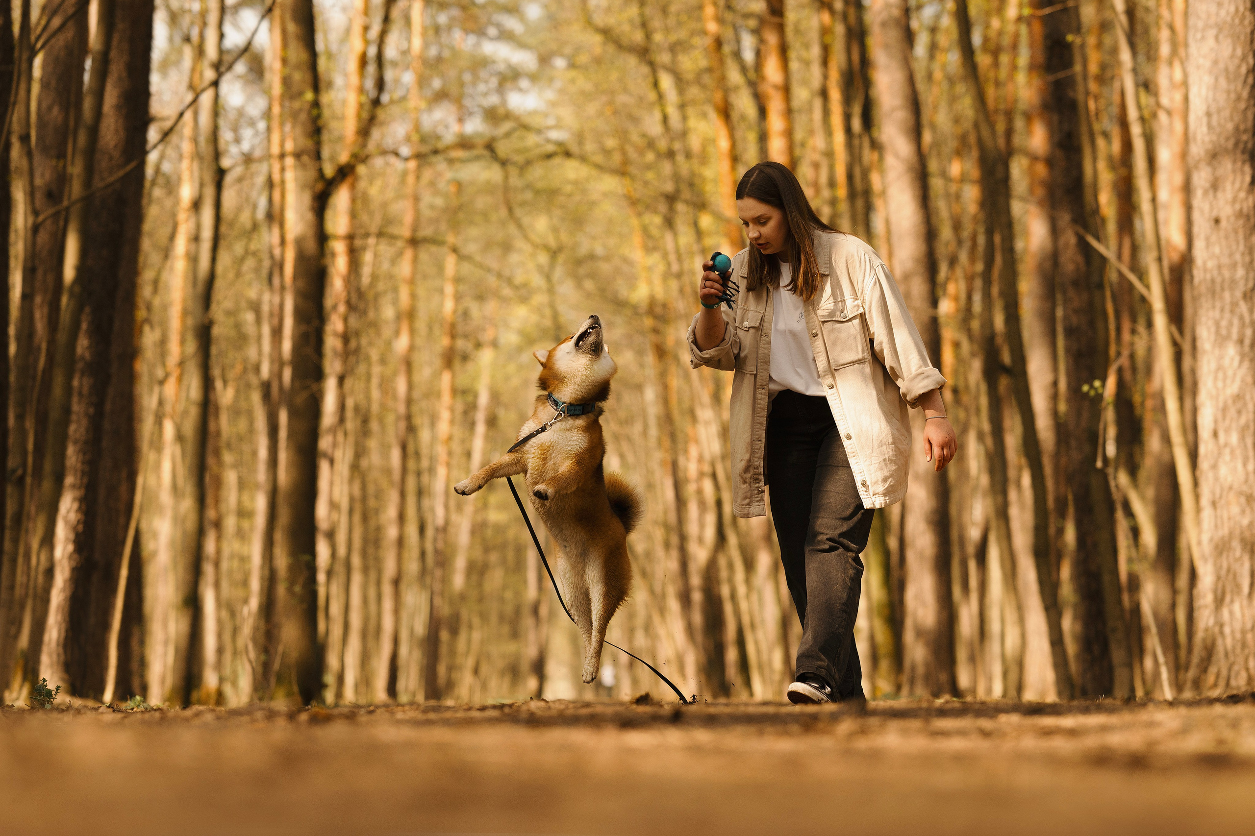 Юнки. Фотограф- анималист Александра Матвеева