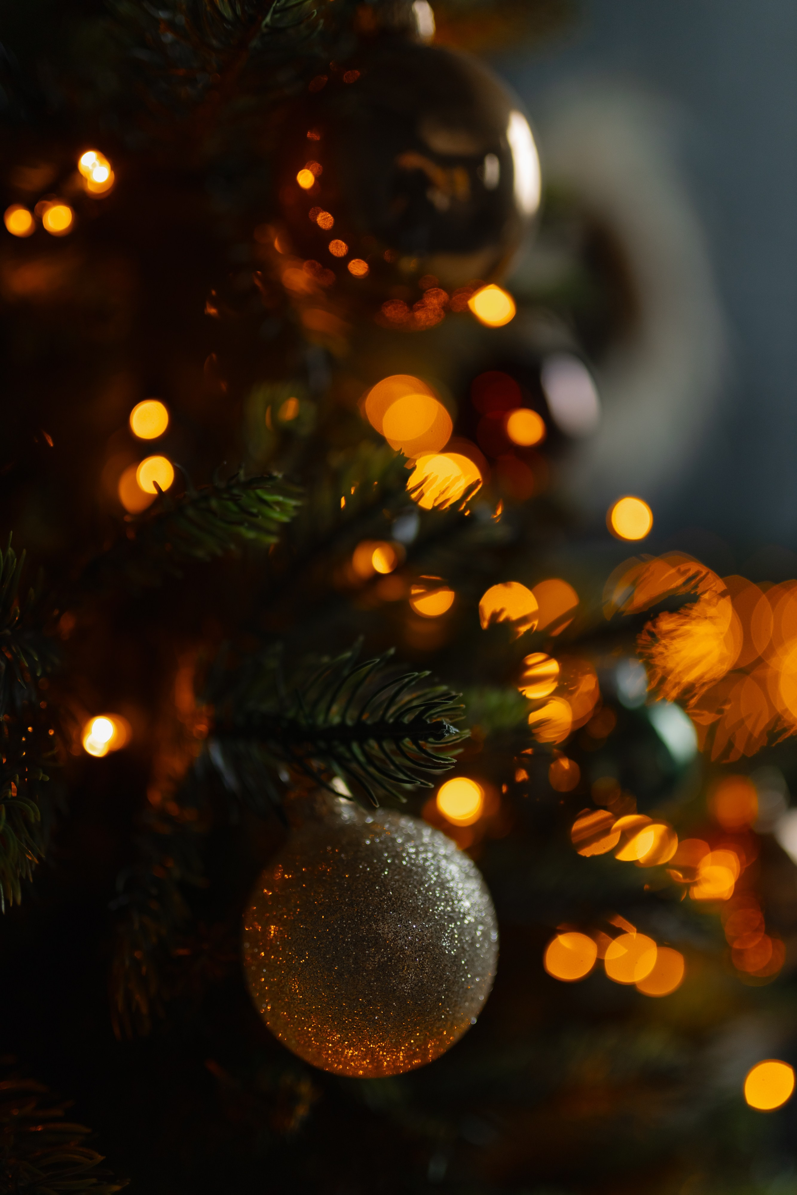 Семейная новогодняя съемка. Свадебный фотограф в Минске/Беларуси Сергей Спиридонов