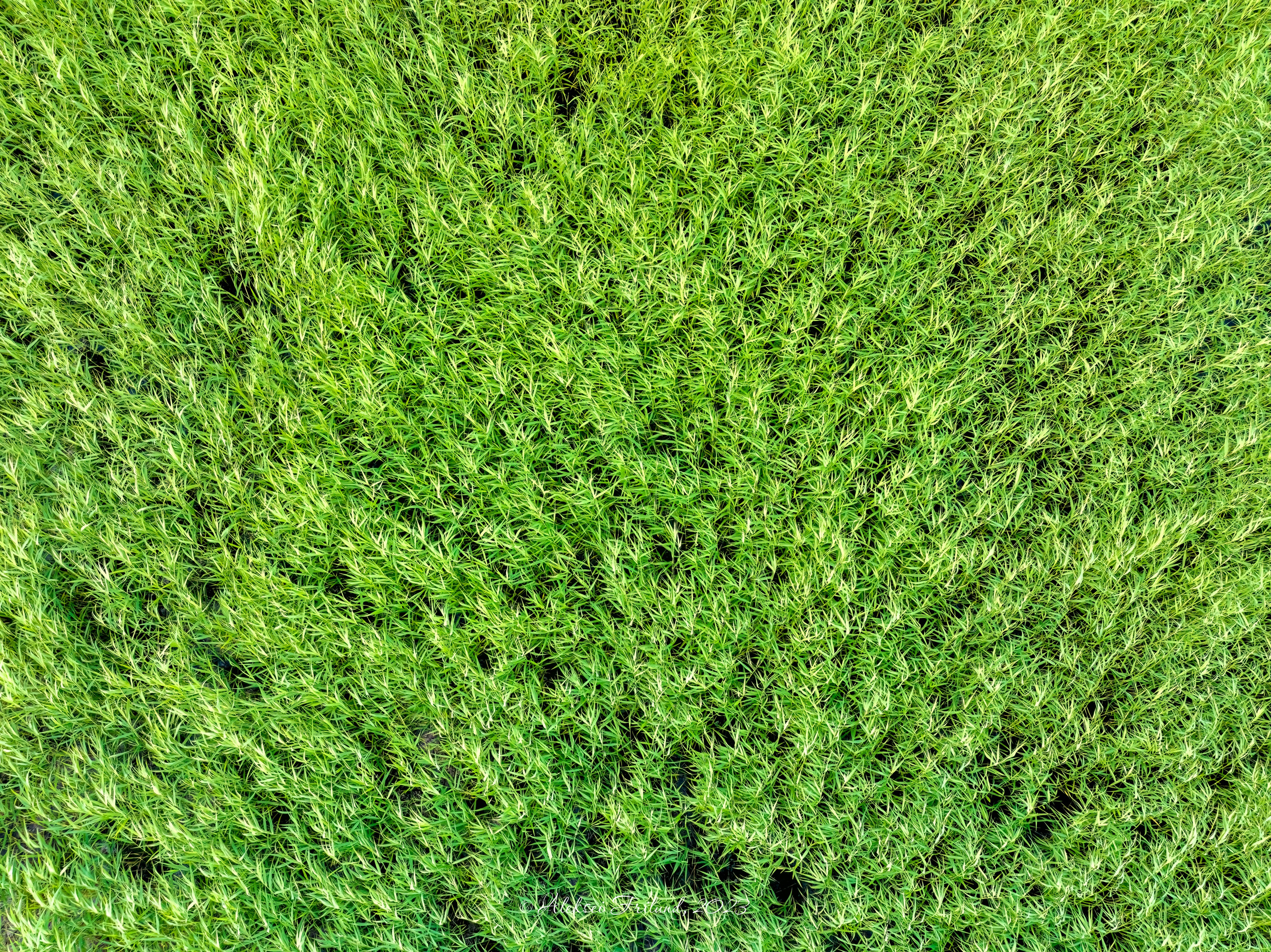 Ладожское озеро. Аэросъемка. Фото и Видео в Карелии. Алексей Фрилунд