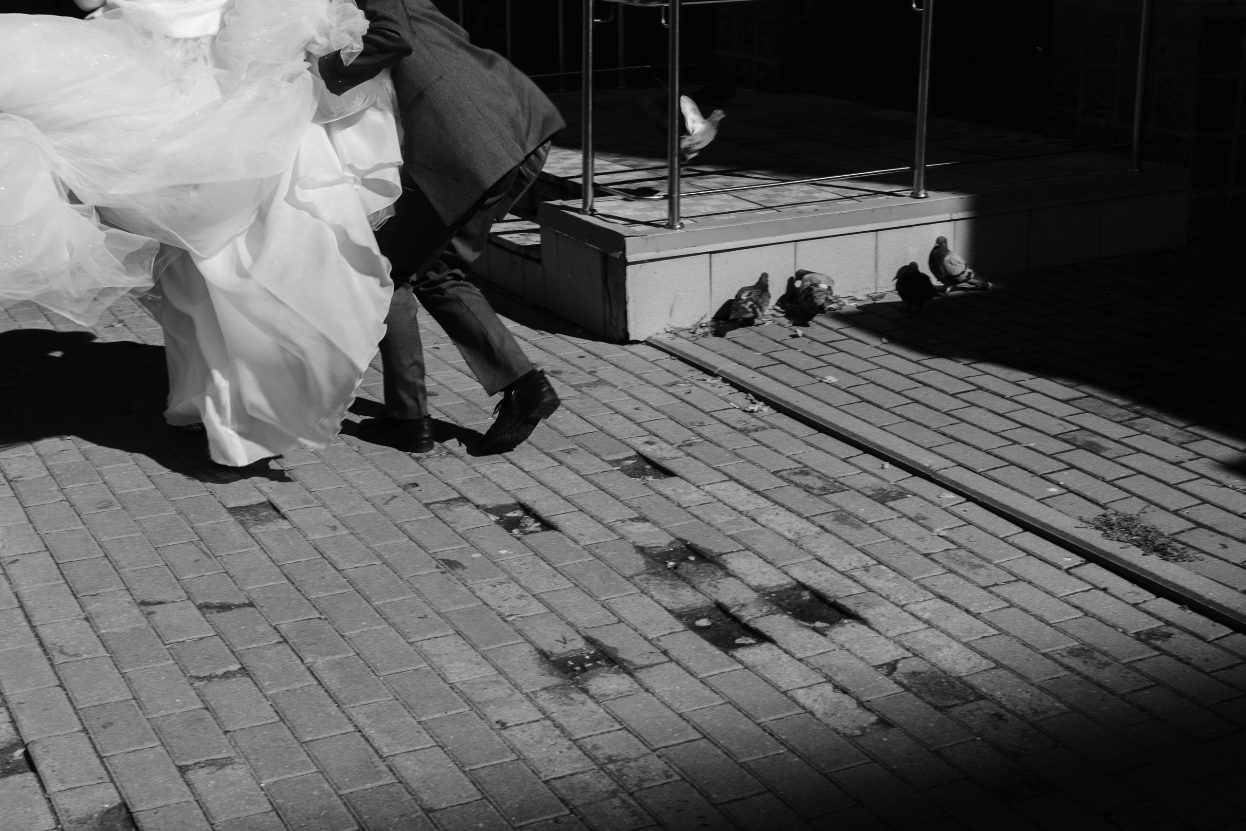 Водитель лимузина и суровые истринские голуби. Свадебный фотограф в Москве и Балашихе