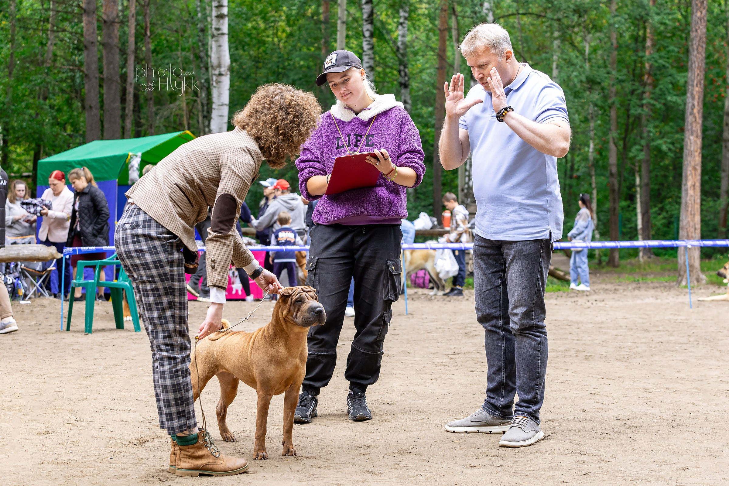 24 августа 2024, Выставка РКФ, г. Пермь. Htykk_photo