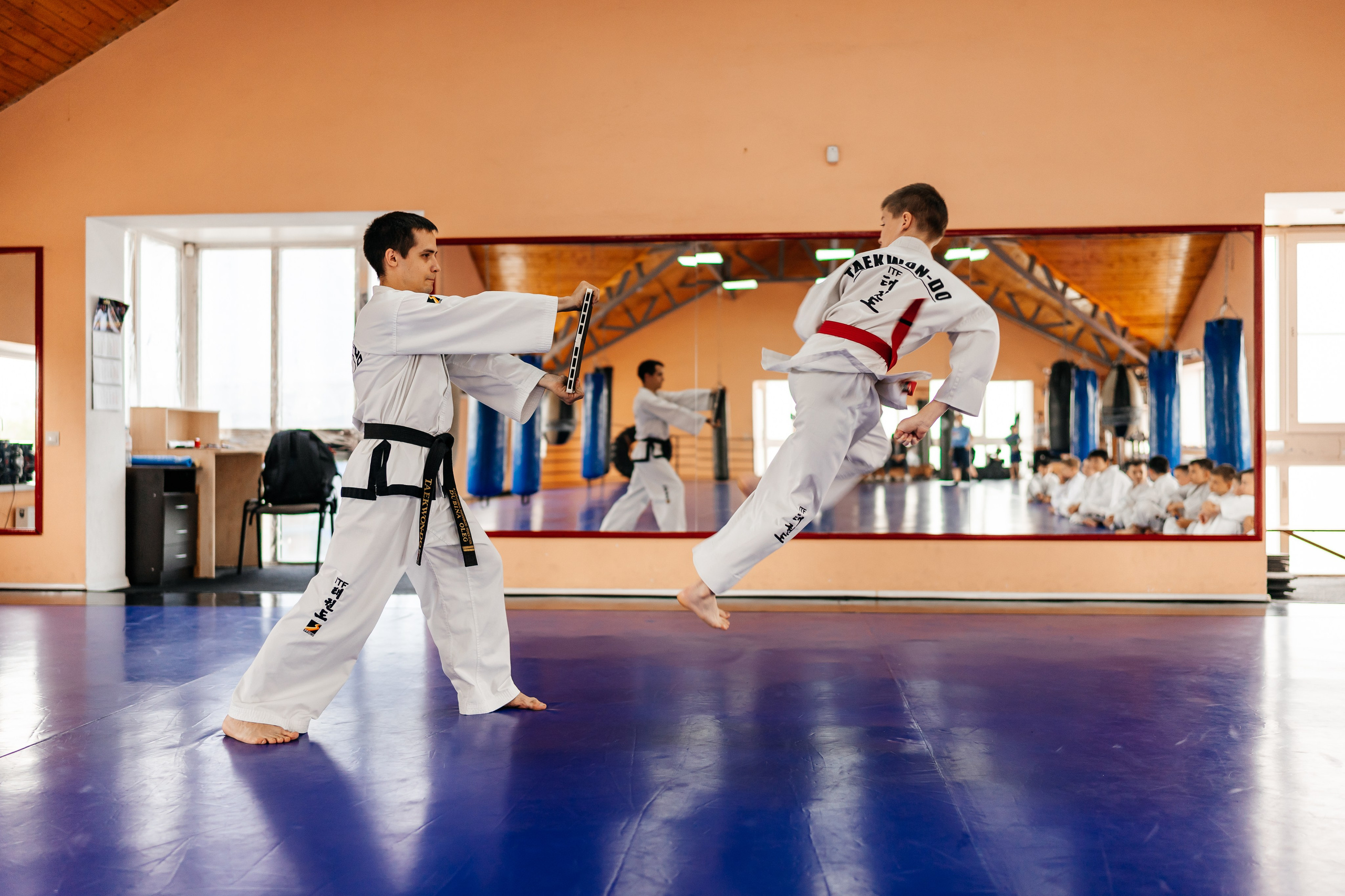 Съемка спортивных мероприятий. Taekwondo/2023. Семейный фотограф в Москве Ирина Жур