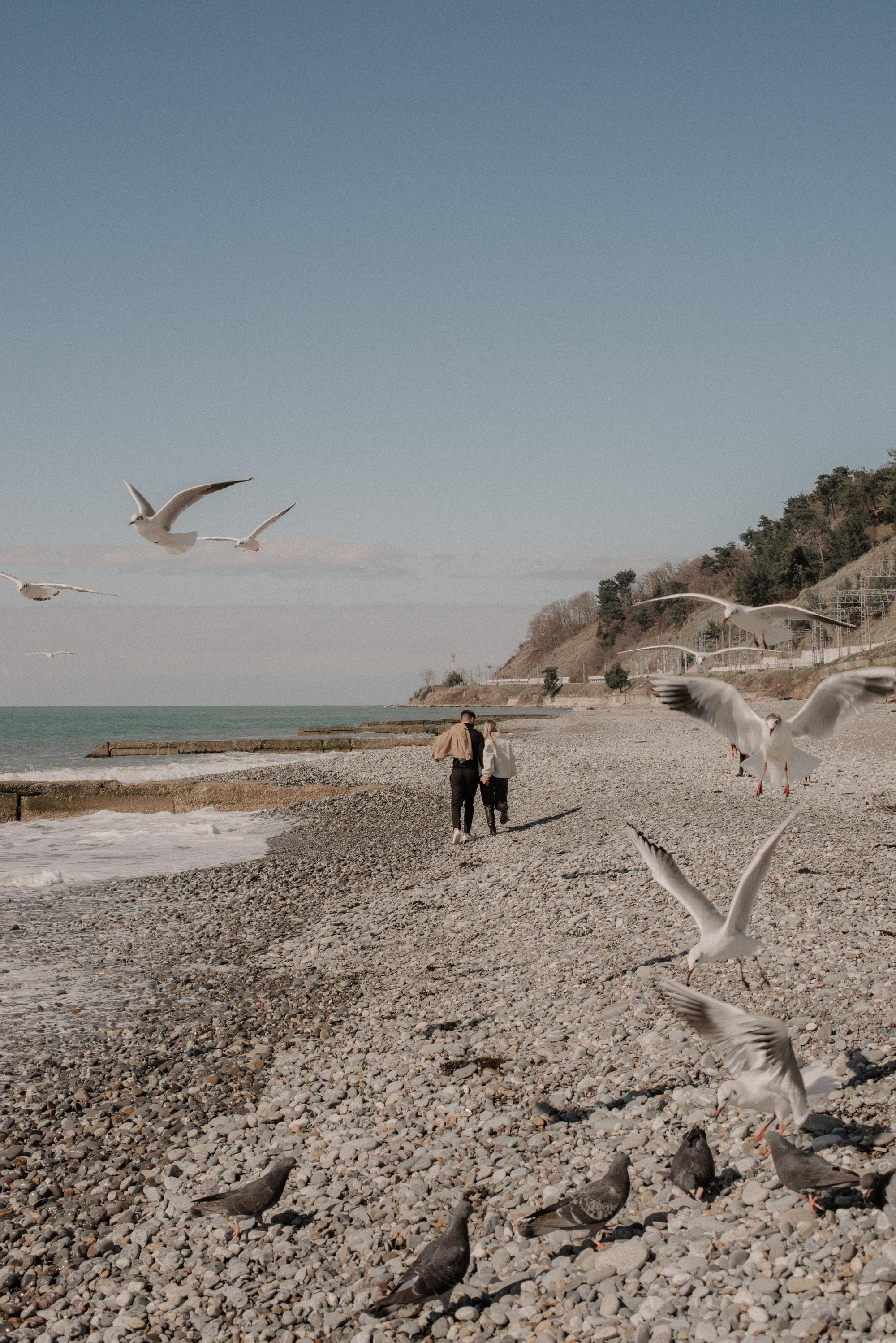Любить в Сочи. Свадебный фотограф в Москве Юлия Лисой