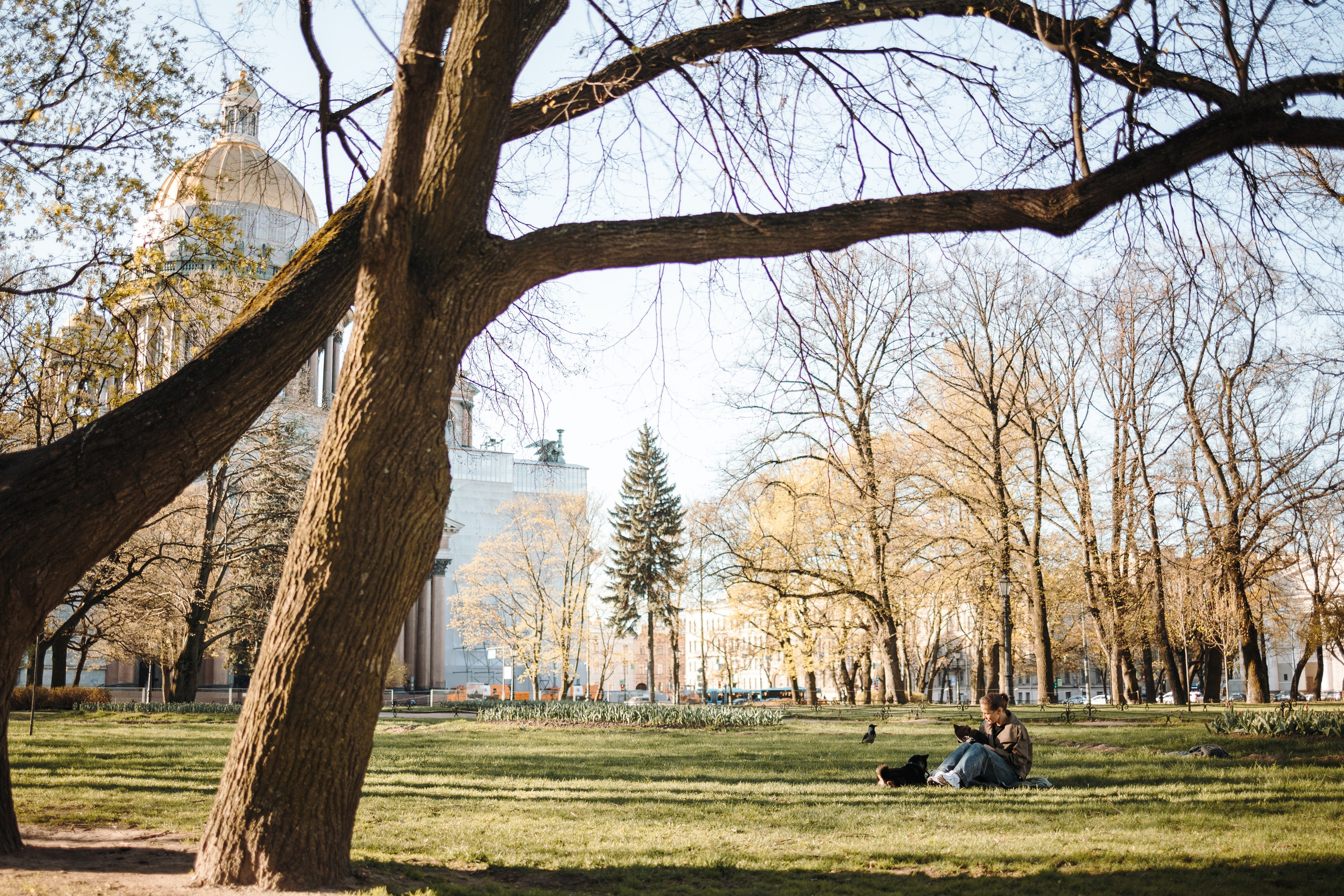 Даша и ее девочки. Фотограф — Анималист | Санкт-Петербург