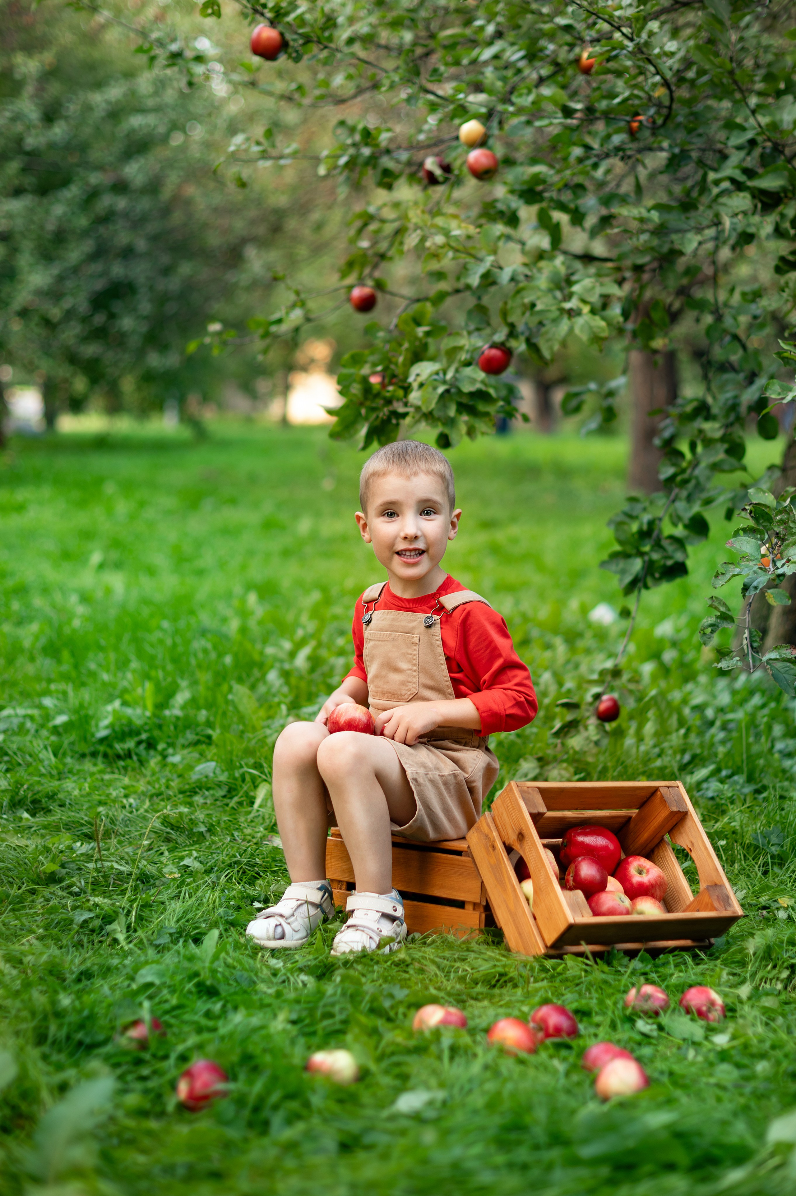 Яблоки. Детский и семейный фотограф г. Москва Оксана Катаджи