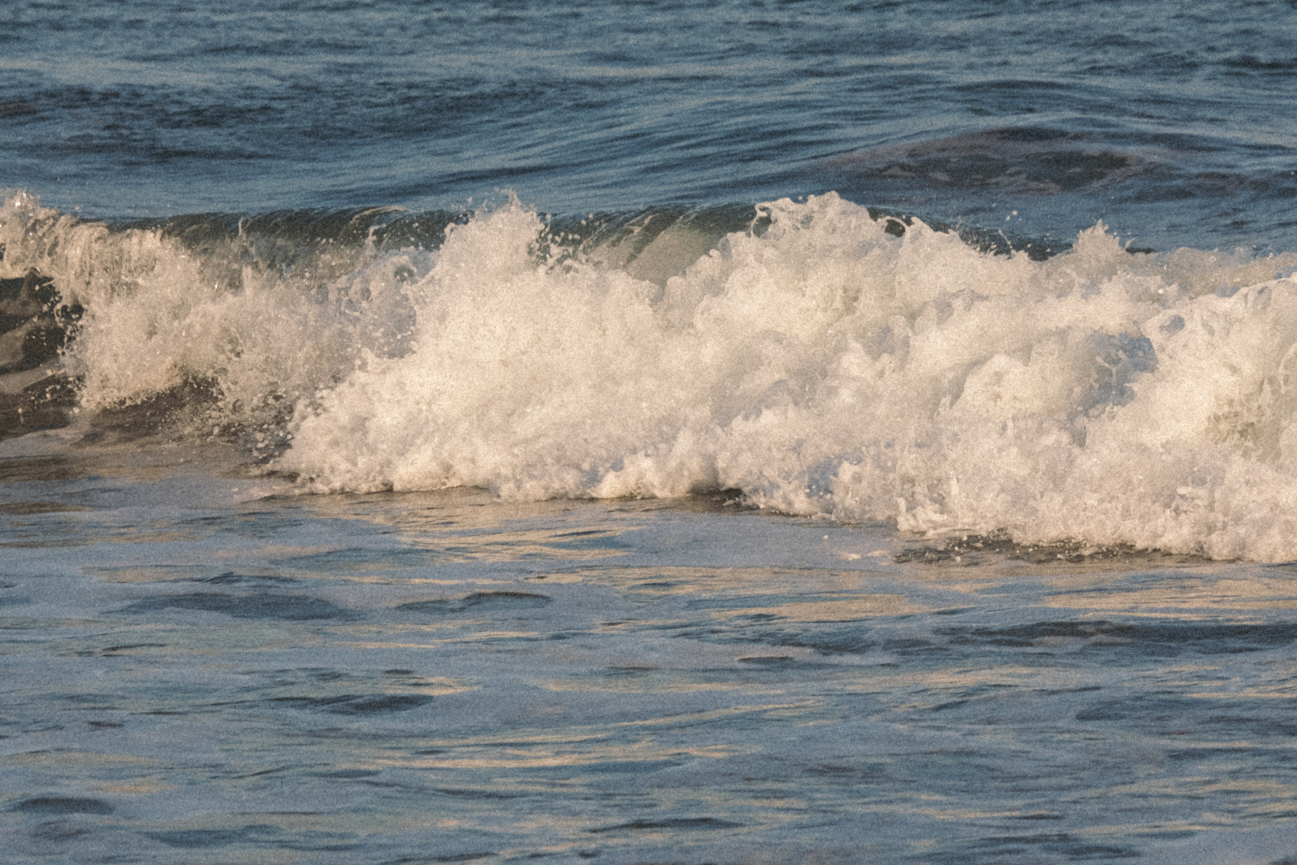 Тихий океан. Профессиональный фотограф, Санкт-Петербург — Виктория Богомолова