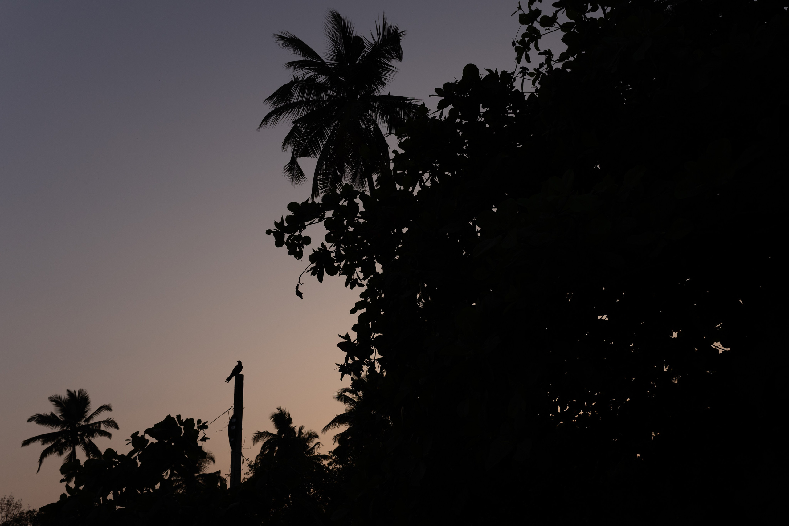 ГОА 2024. Руслан Плахтеев