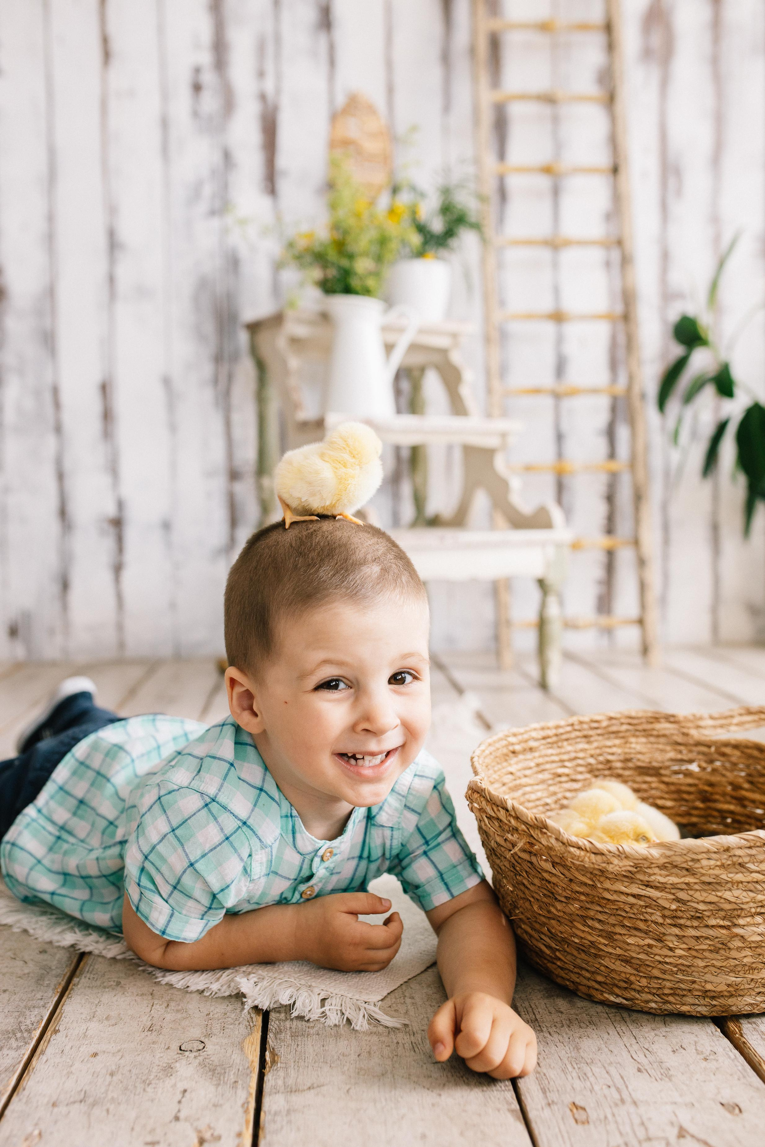 Цыплята. Семейный фотограф Трусова Евгения в Екатеринбурге