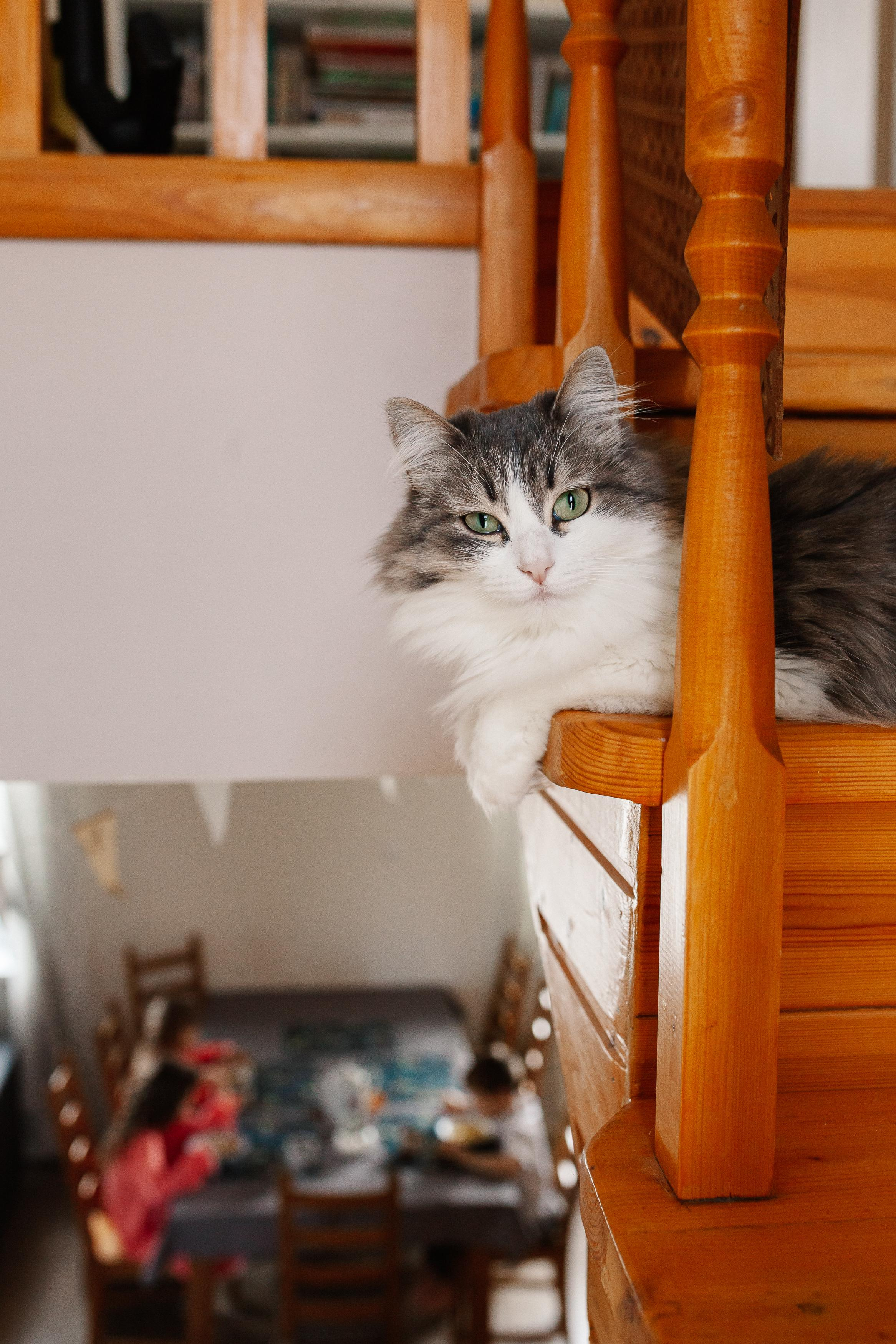 Никита, Оля, Сева, Дуня, Соня и Петя. Семейный фотограф Трусова Евгения в Екатеринбурге