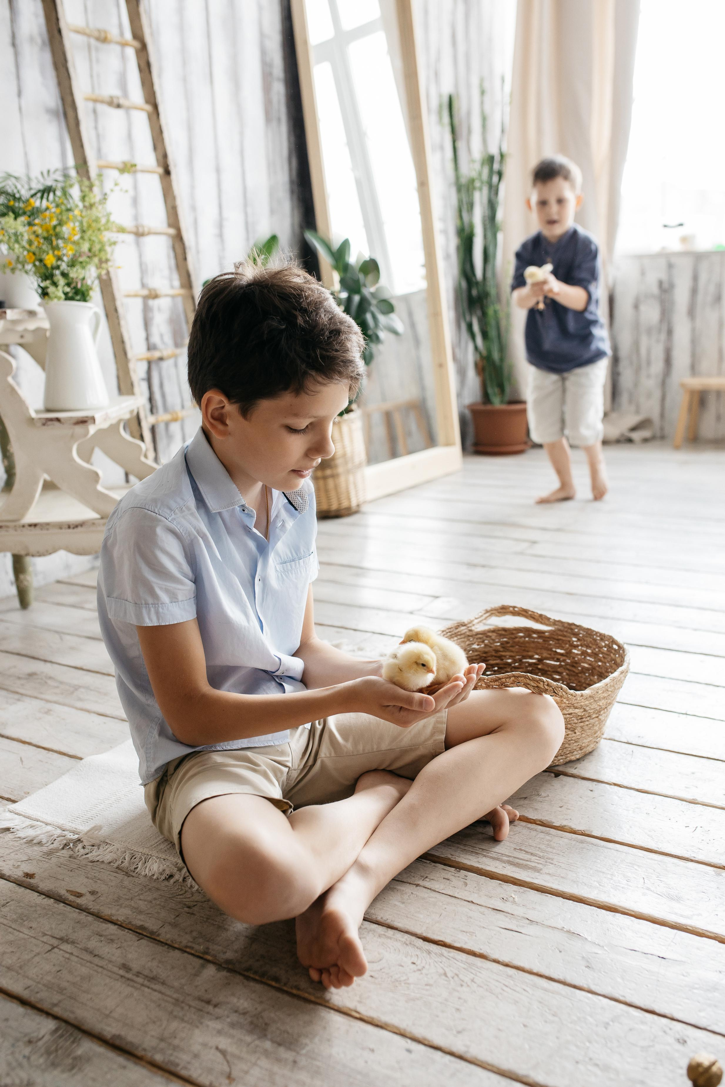 Цыплята. Семейный фотограф Трусова Евгения в Екатеринбурге