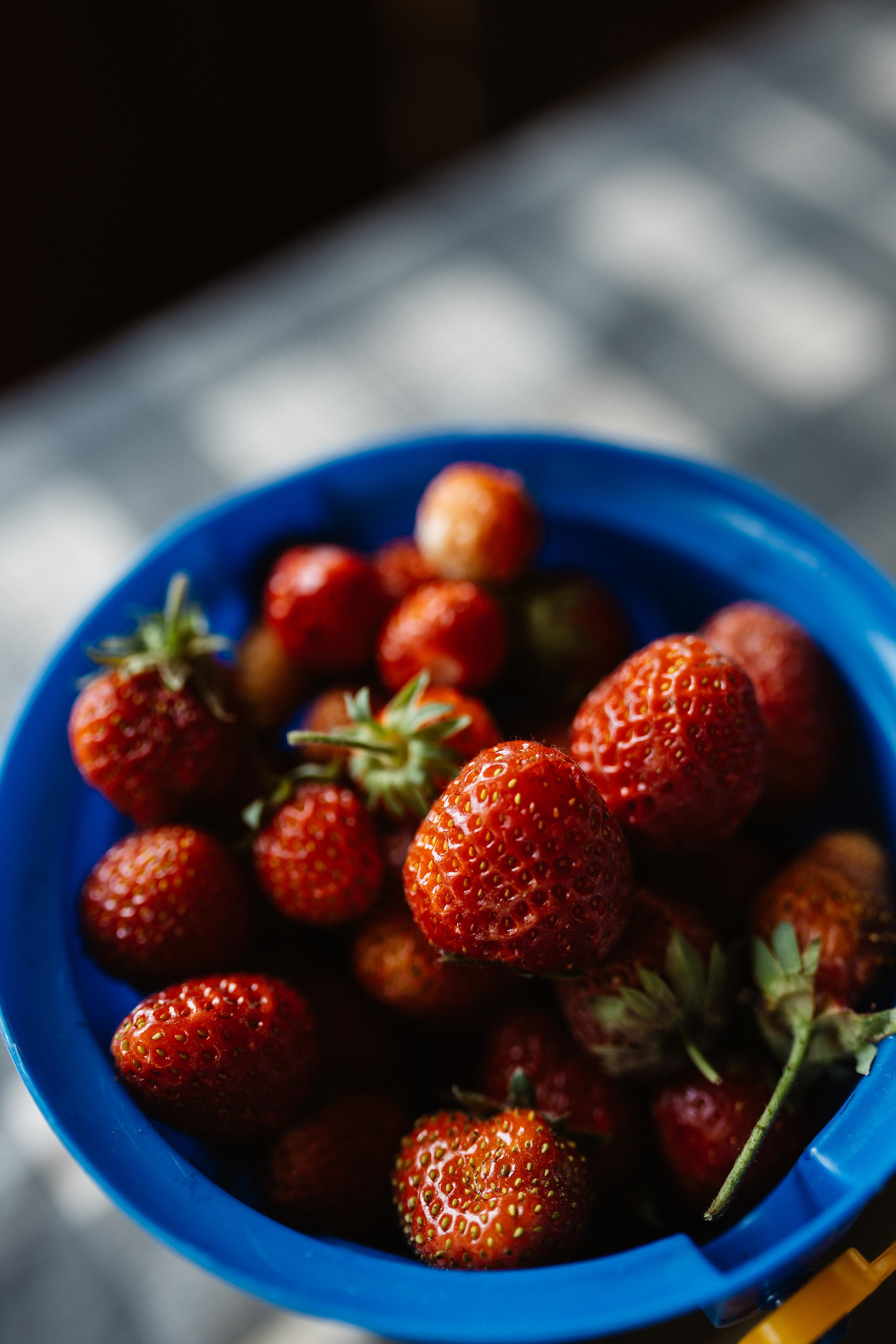 Лидонька. Семейный фотограф Трусова Евгения в Екатеринбурге