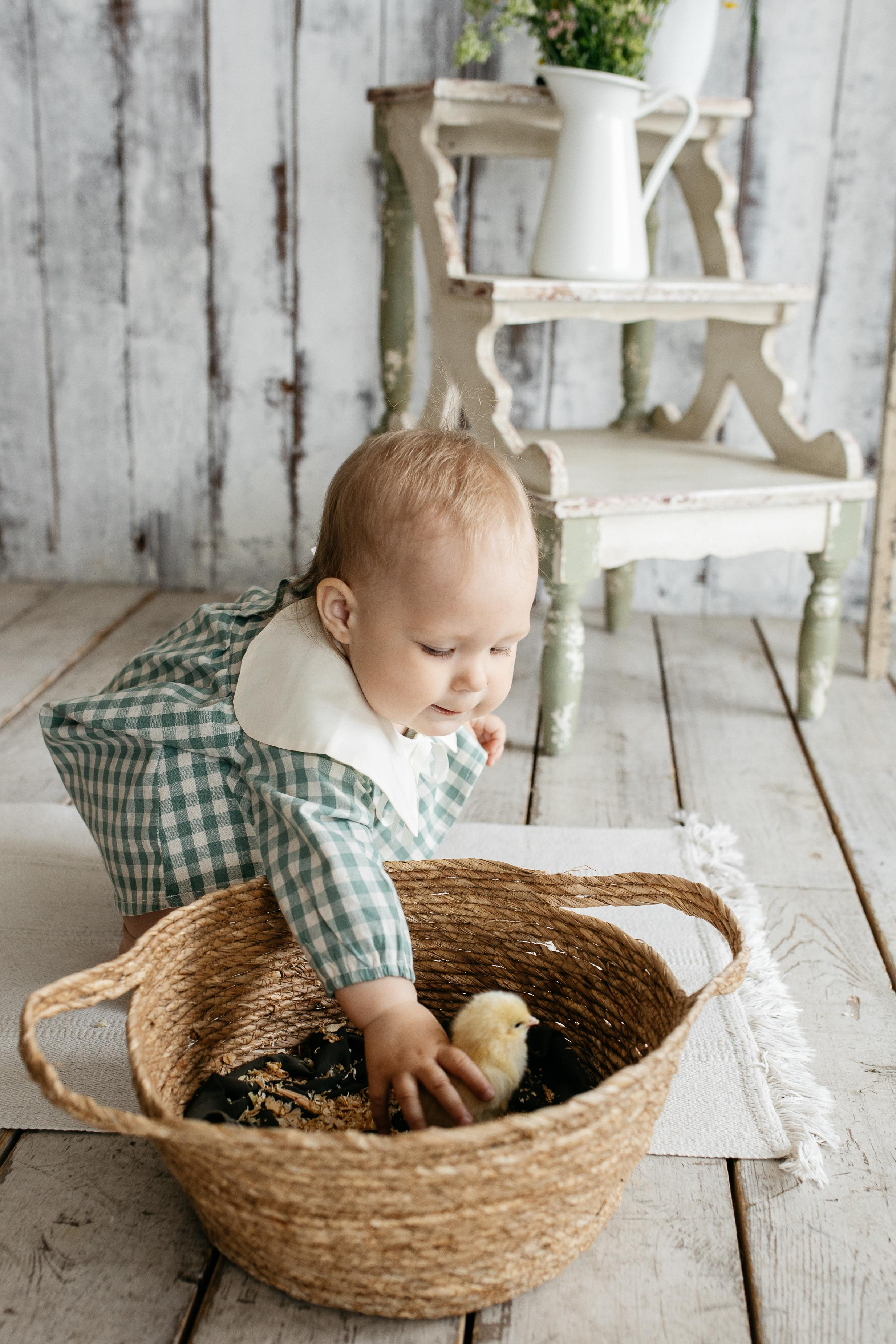 Цыплята. Семейный фотограф Трусова Евгения в Екатеринбурге