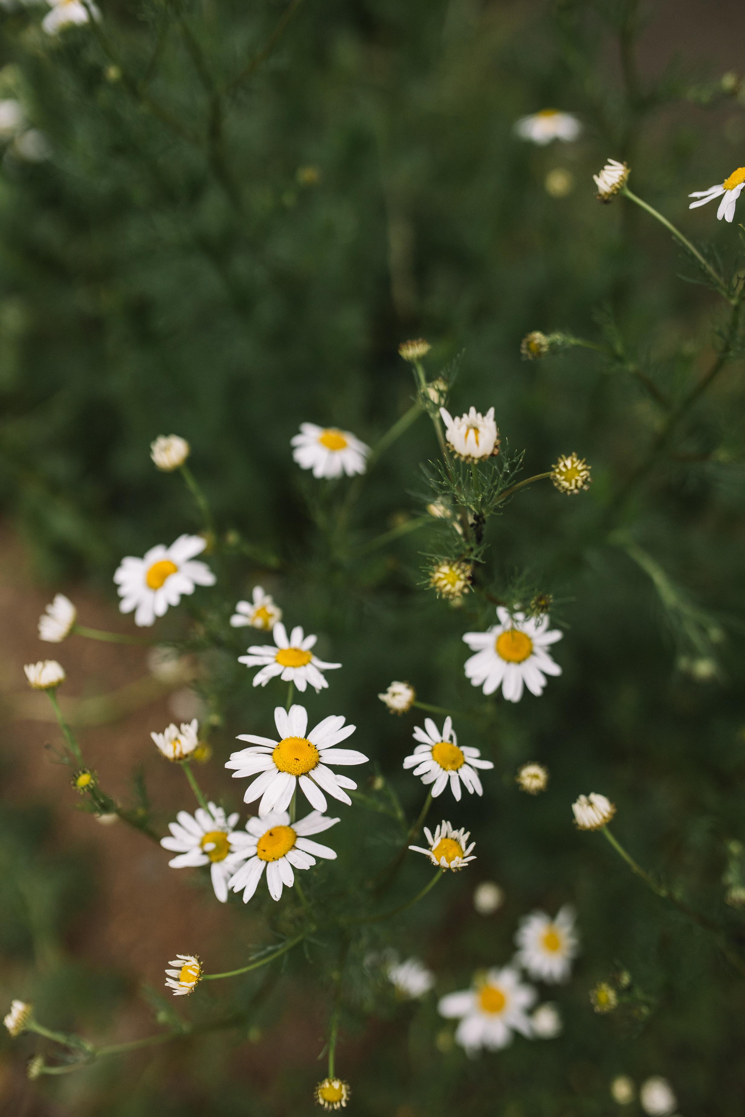 Н+С+Е+Д. Семейный фотограф Трусова Евгения в Екатеринбурге