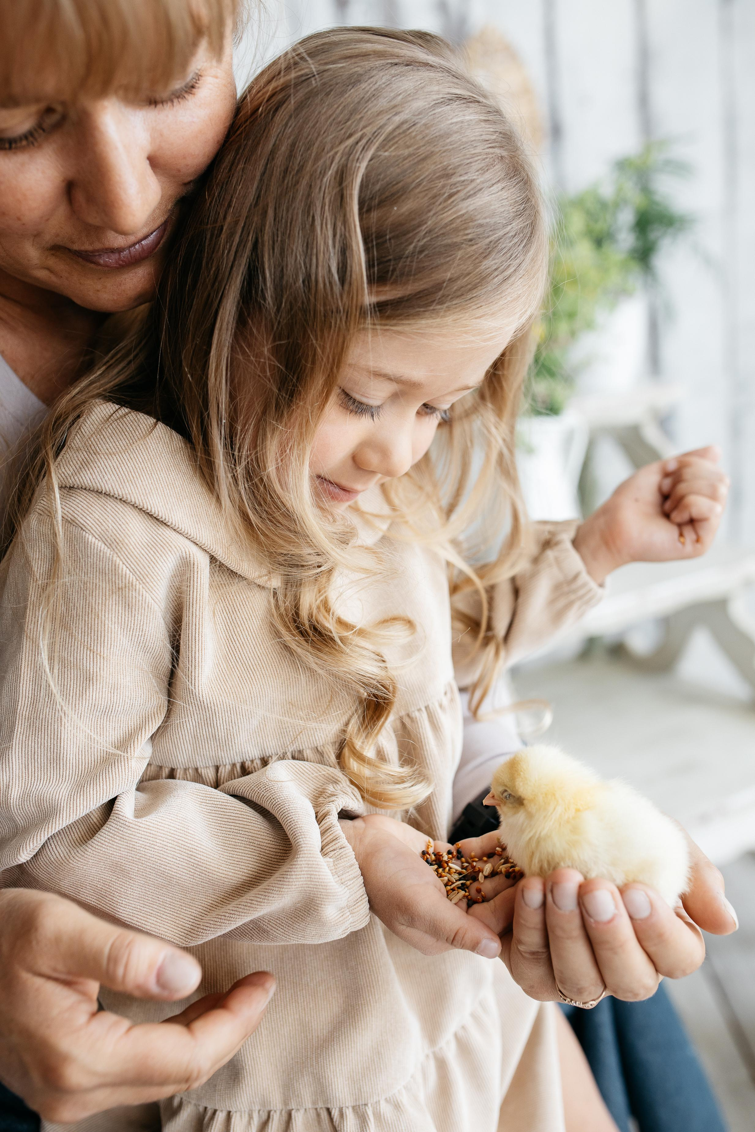Цыплята. Семейный фотограф Трусова Евгения в Екатеринбурге
