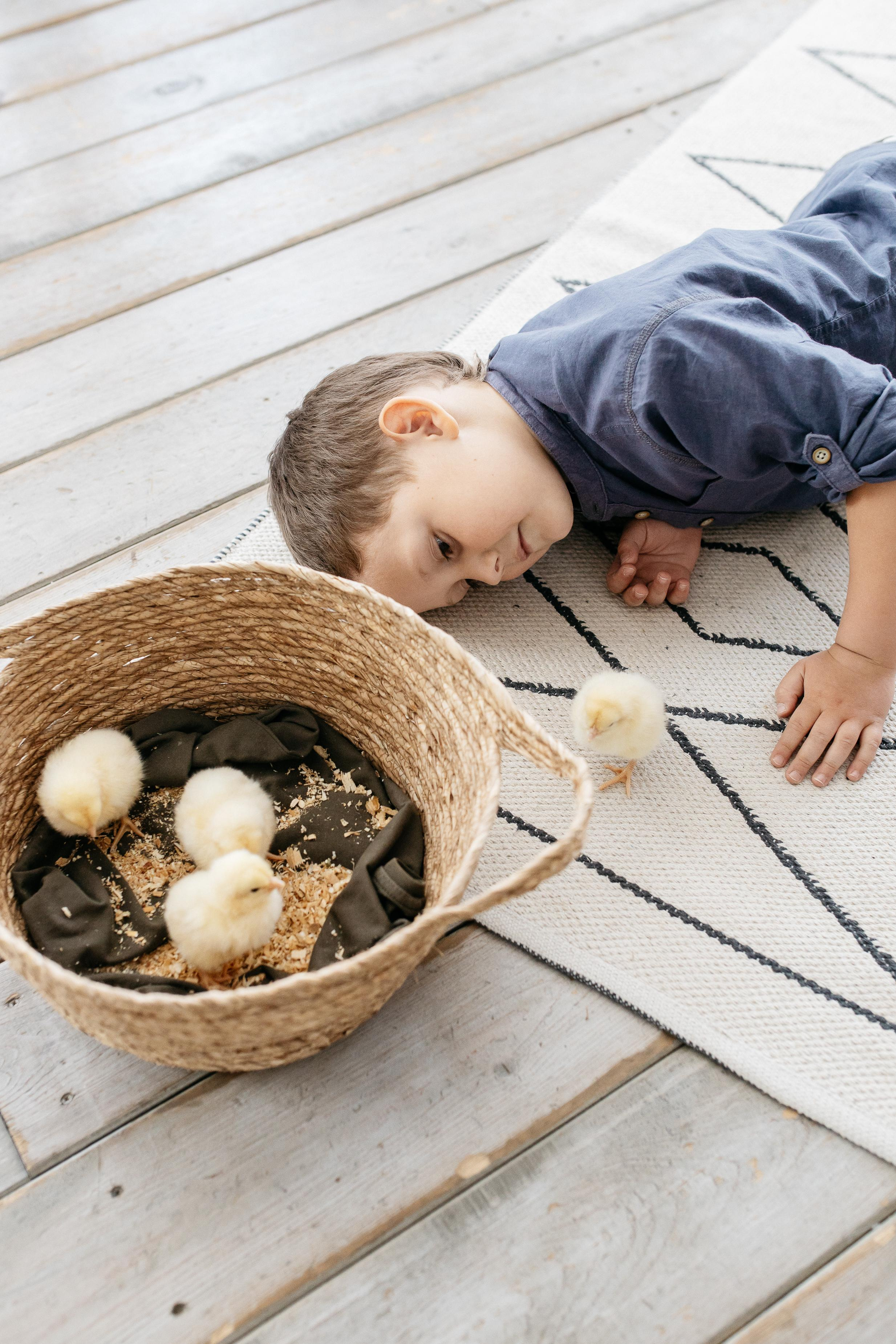 Цыплята. Семейный фотограф Трусова Евгения в Екатеринбурге