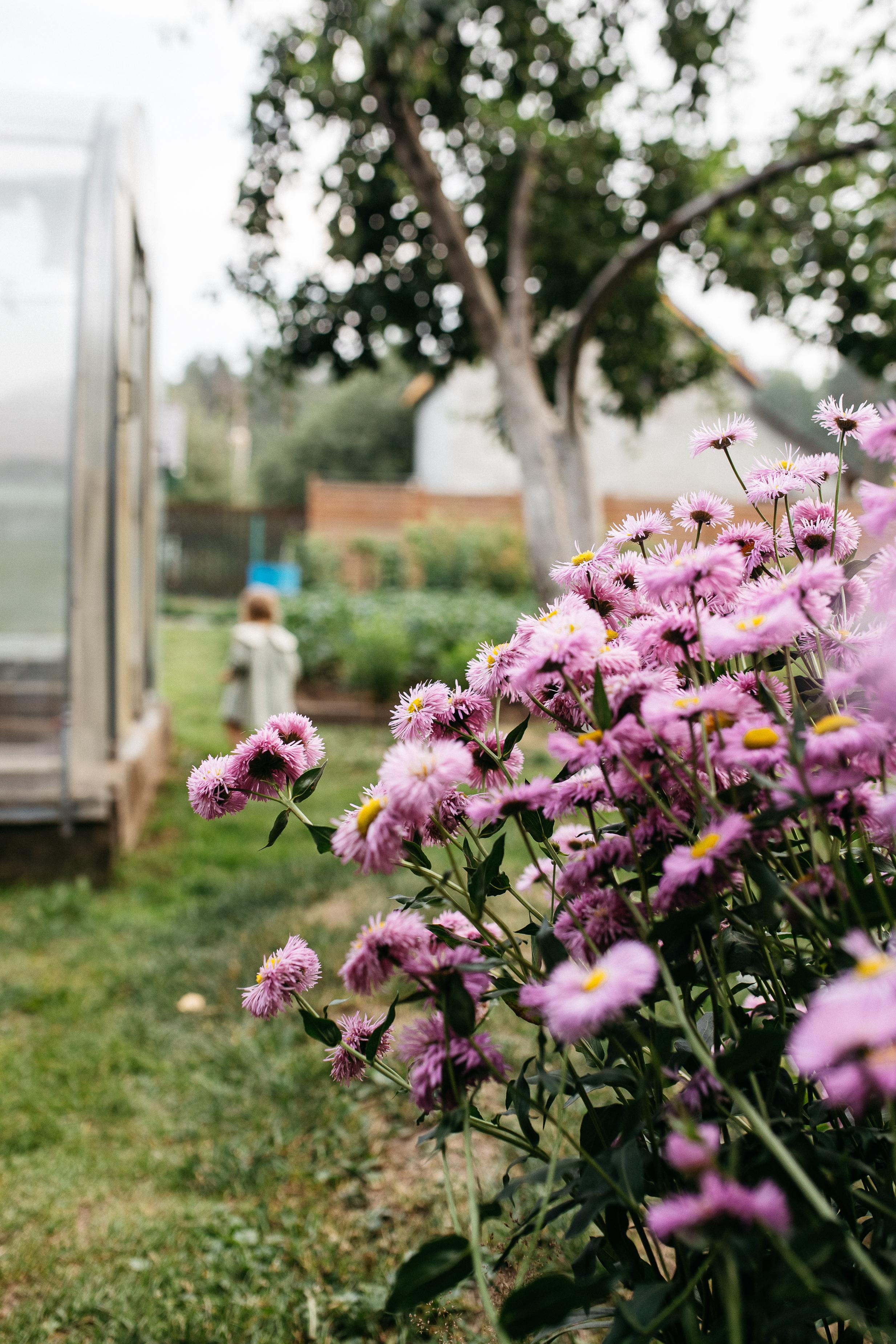 Лидонька. Семейный фотограф Трусова Евгения в Екатеринбурге