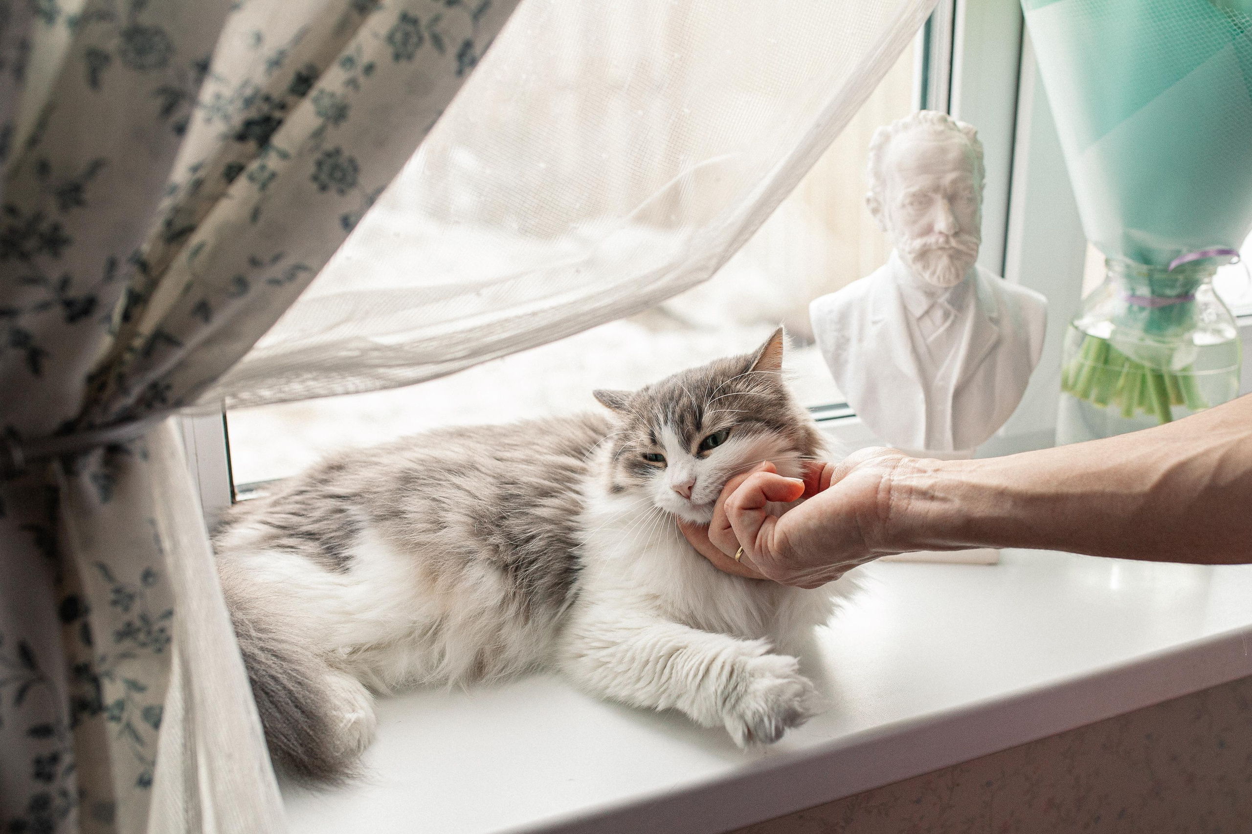 Никита, Оля, Сева, Дуня, Соня и Петя. Семейный фотограф Трусова Евгения в Екатеринбурге