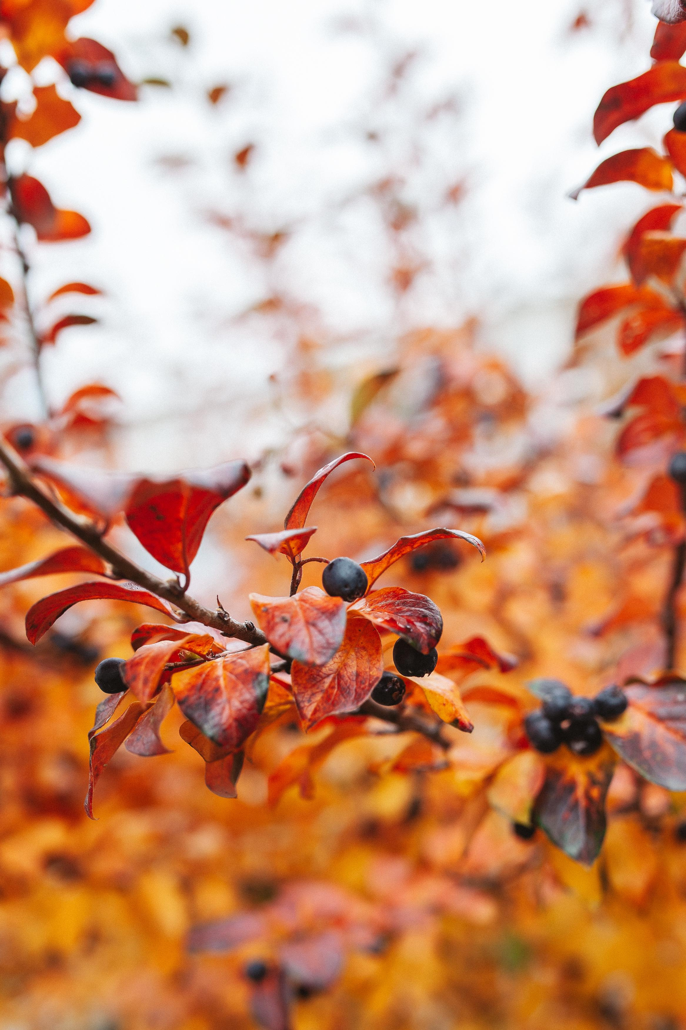 Детский сад, прогулка. Семейный фотограф Трусова Евгения в Екатеринбурге