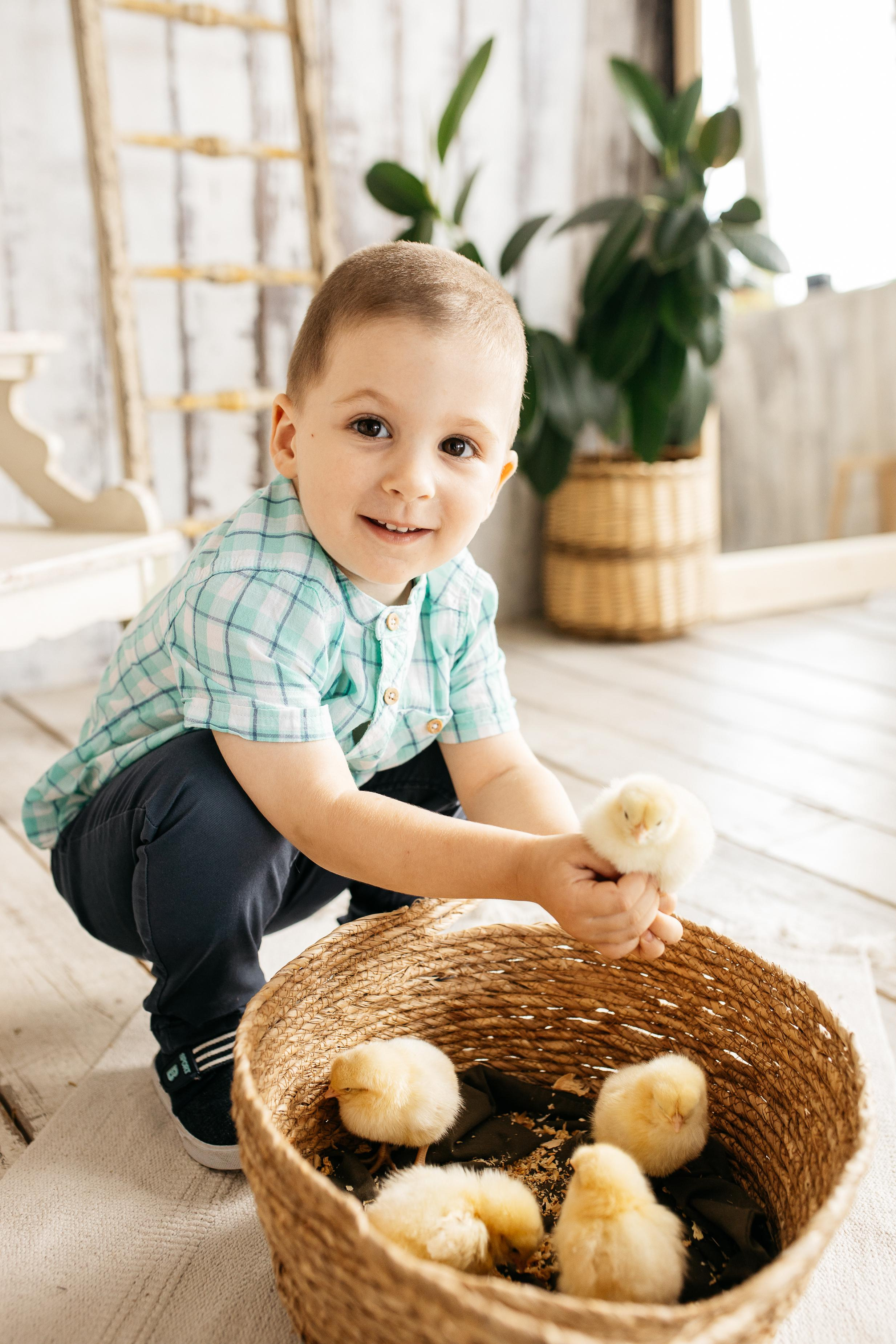 Цыплята. Семейный фотограф Трусова Евгения в Екатеринбурге