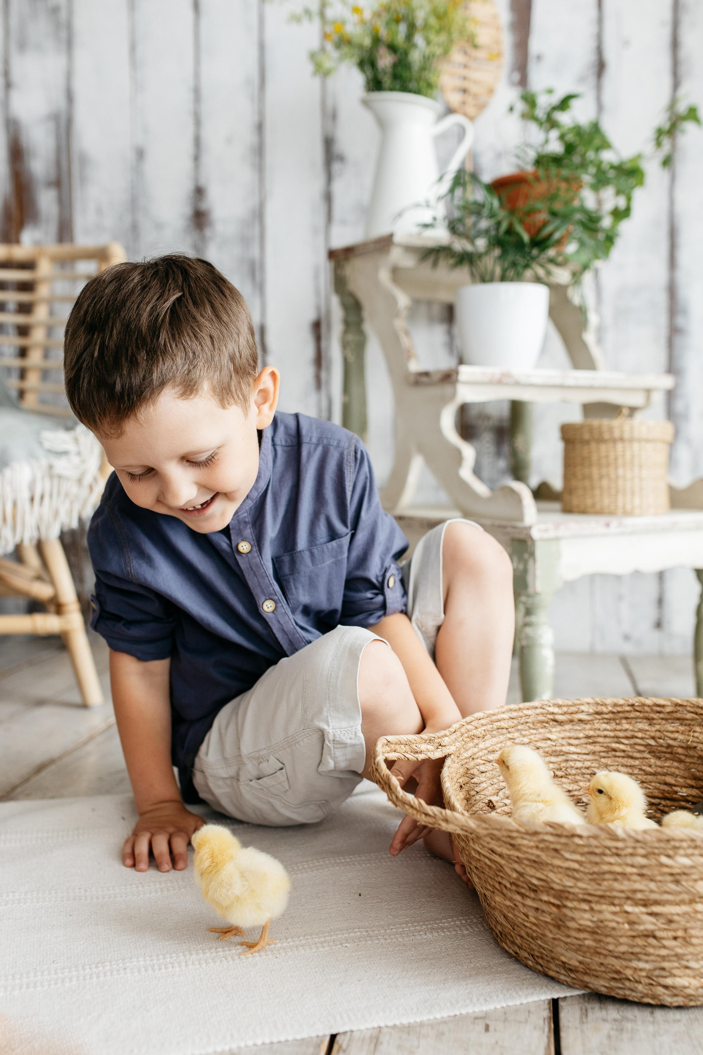 Цыплята. Семейный фотограф Трусова Евгения в Екатеринбурге