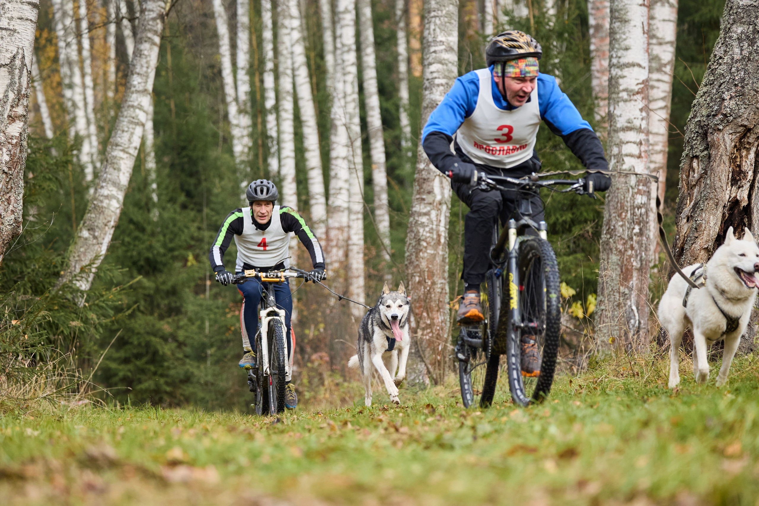 Чемпионат по ЕС Ярославской области. Фотограф Ирина Астор