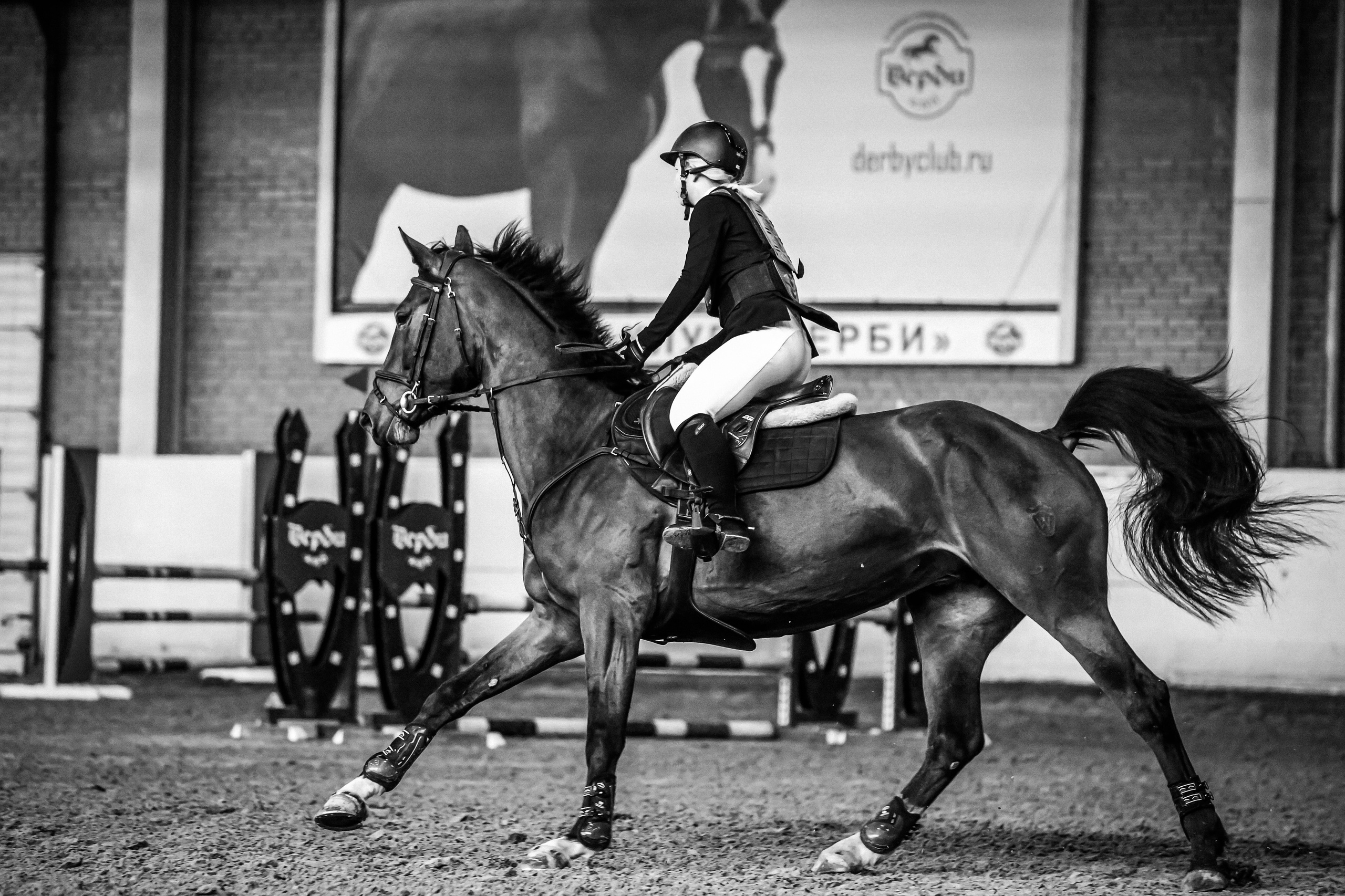 Лошади Евы Демидовой. Ева Демидова. Спортсмен по конкуру в Санкт-Петербуре