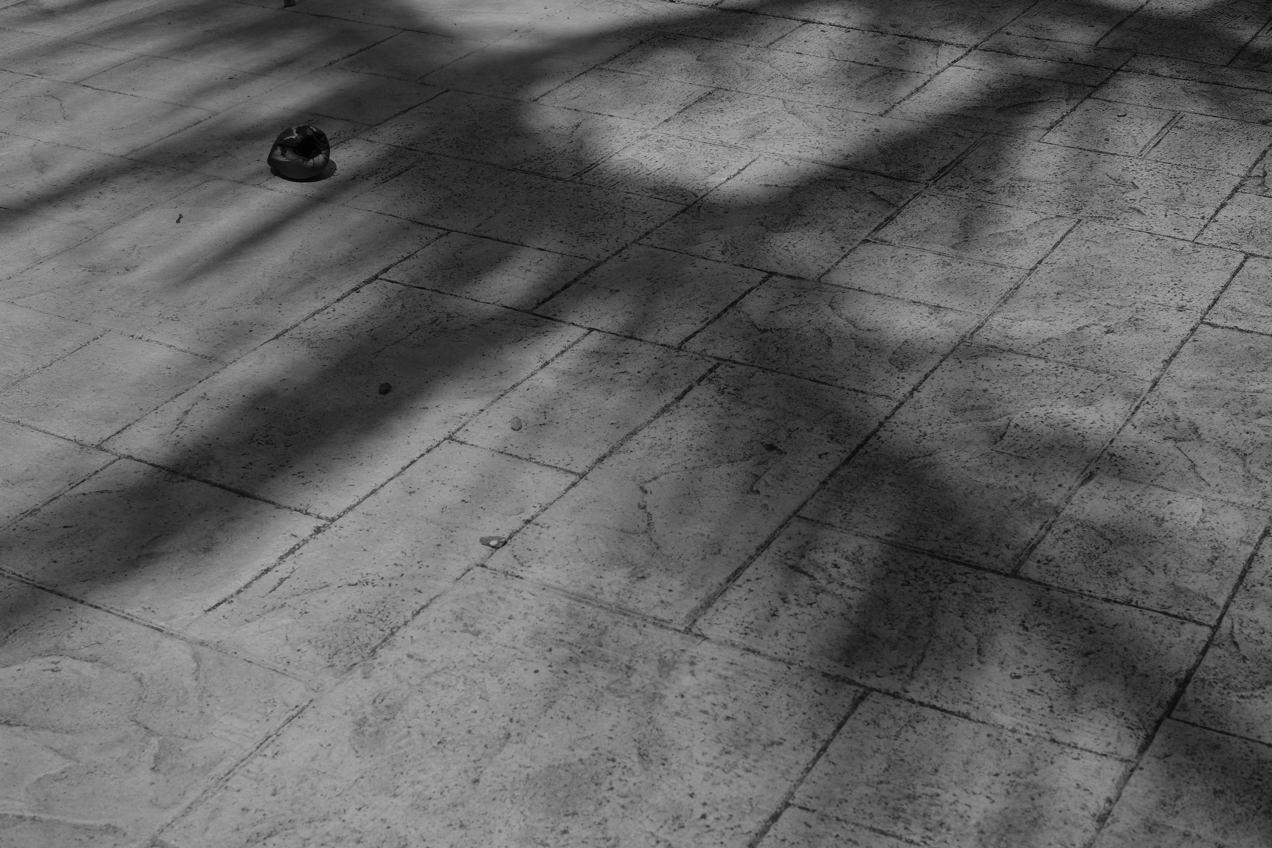 Documentary. Margarita Rodionova — a contemporary lens-based artist currently working in Cancun, Mexico