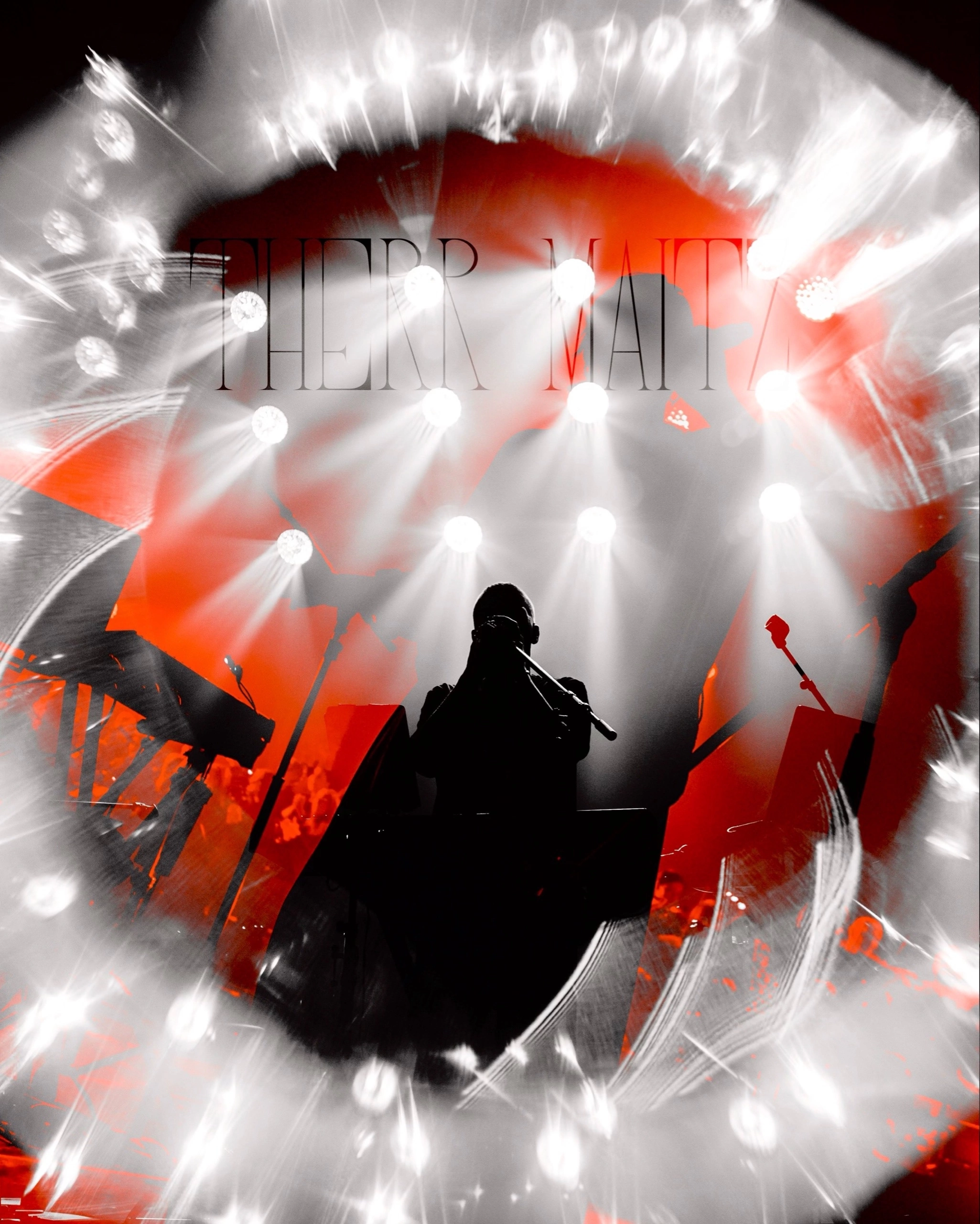 Collages. Концертный фотограф Евгения Самойлова