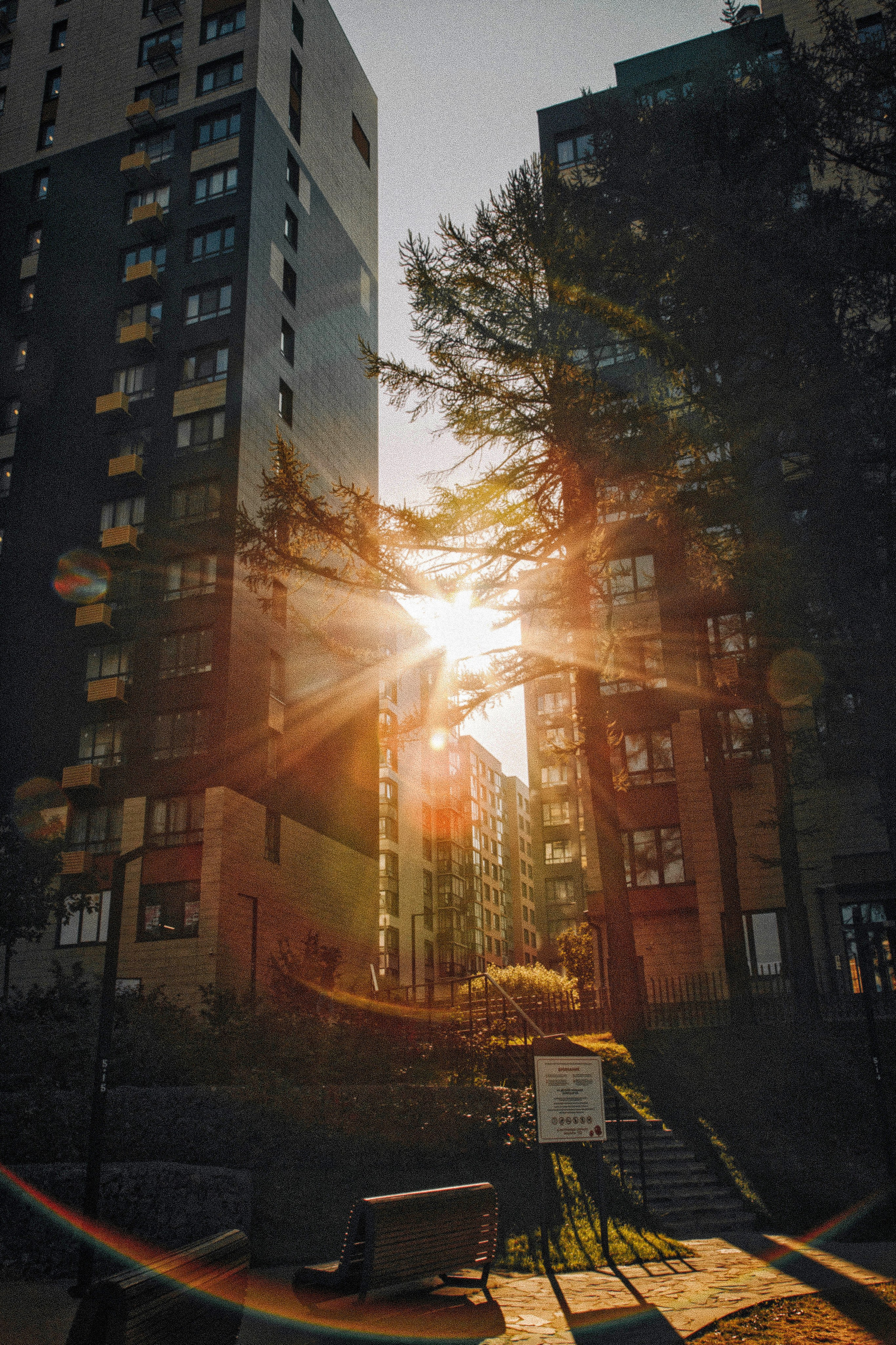 В городе. Фотограф Виктория Субочева