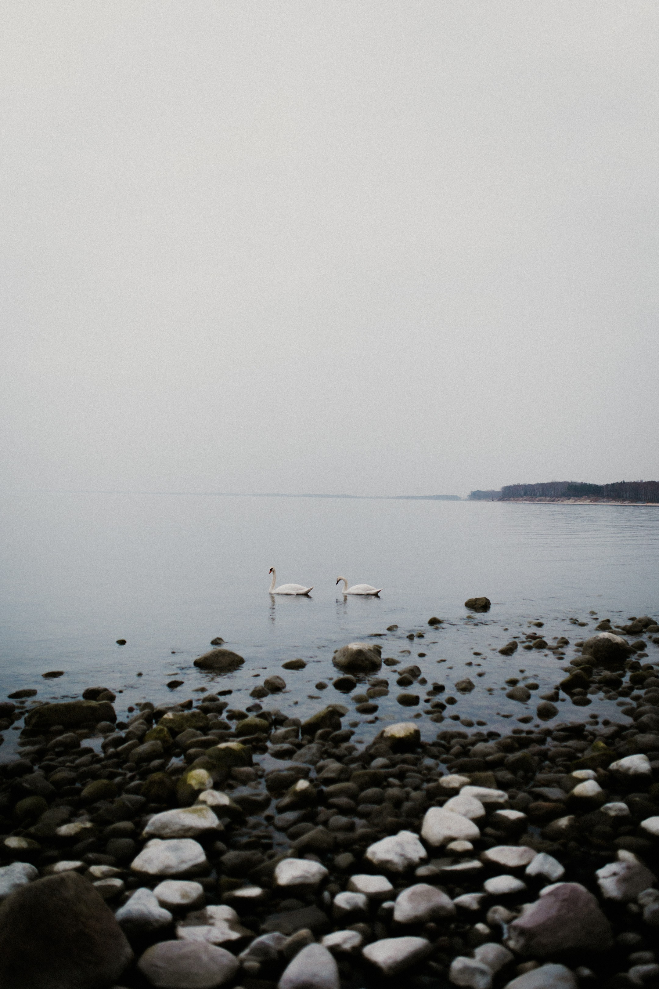 Raya. Свадебный и портретный фотограф в Калининграде и Москве Марк Юдинцев