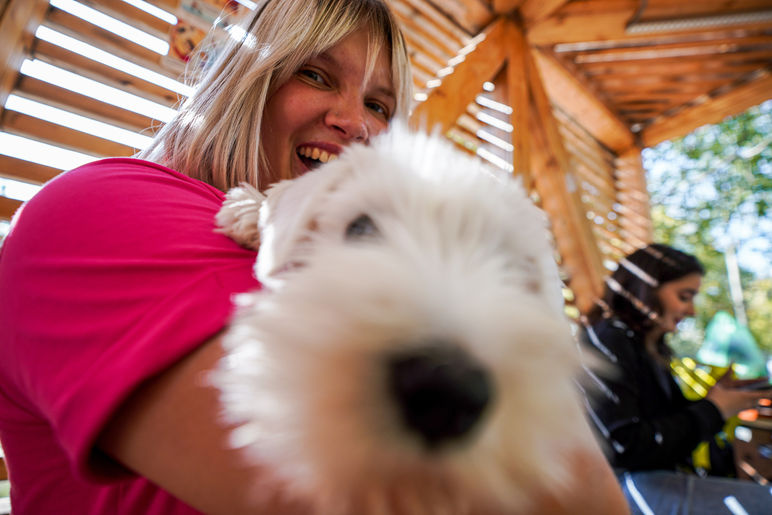 ДР собаки по имени Моррис :). Фотограф Казань