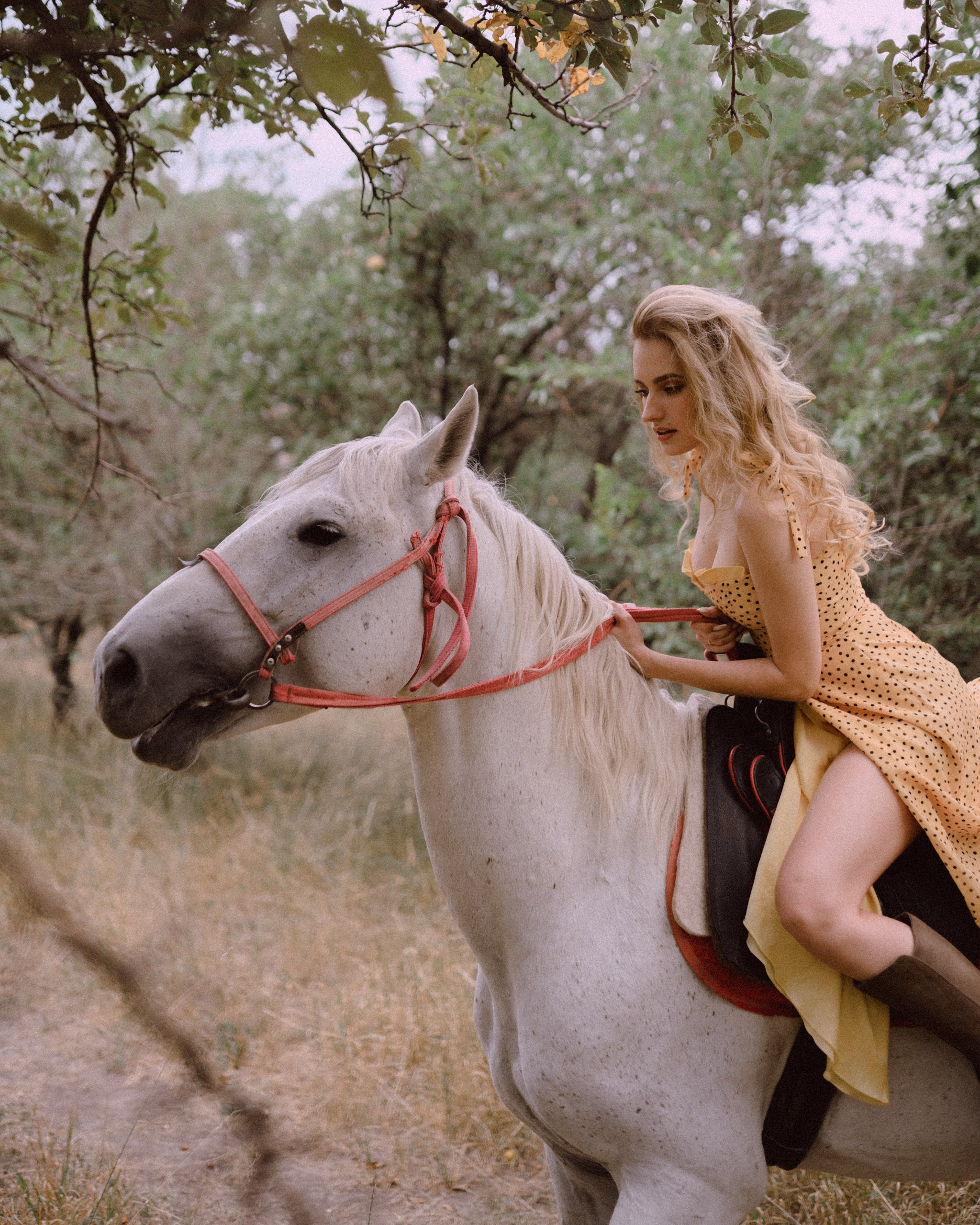 The Equine Muse. Фотограф в Алматы Анастасия Новоселова