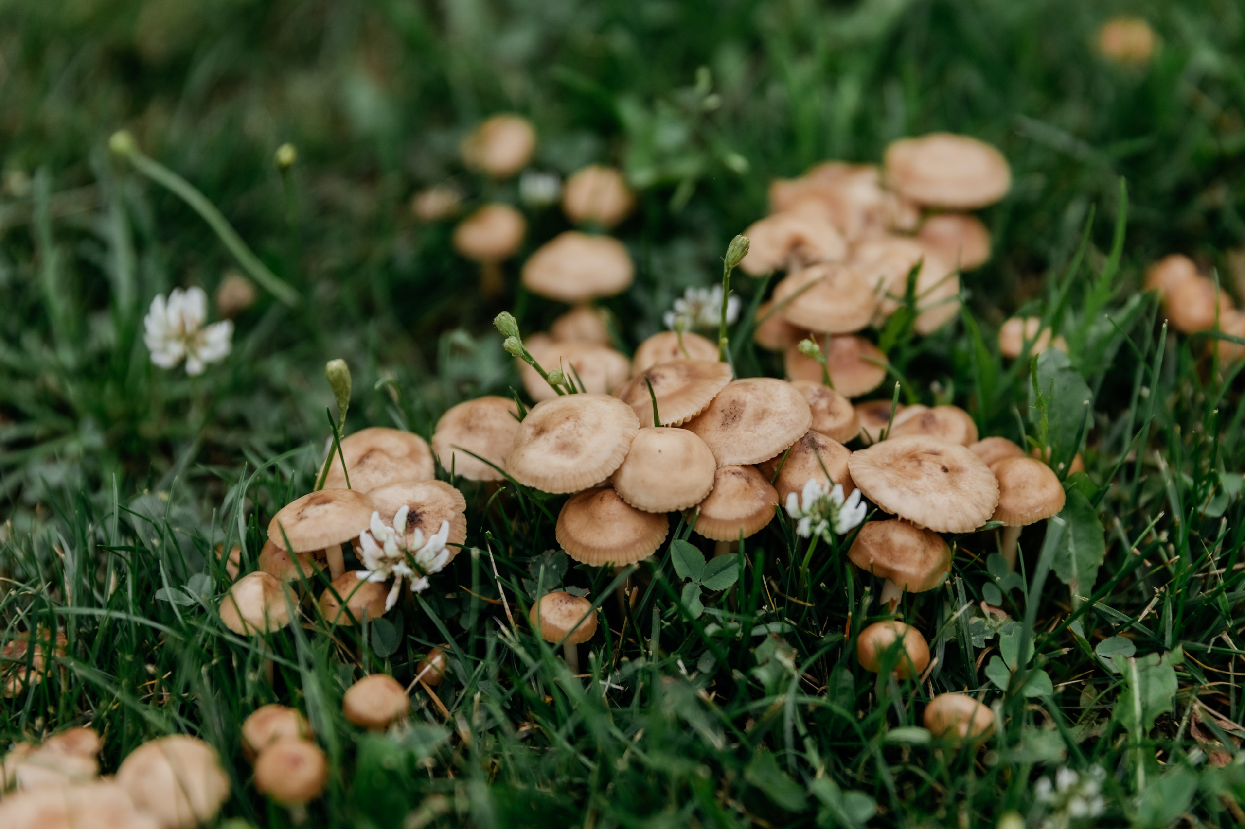 У нас было 2 дня, 2 радуги, 2 времени года и одна любовь. Свадебный фотограф в Санкт-Петербурге