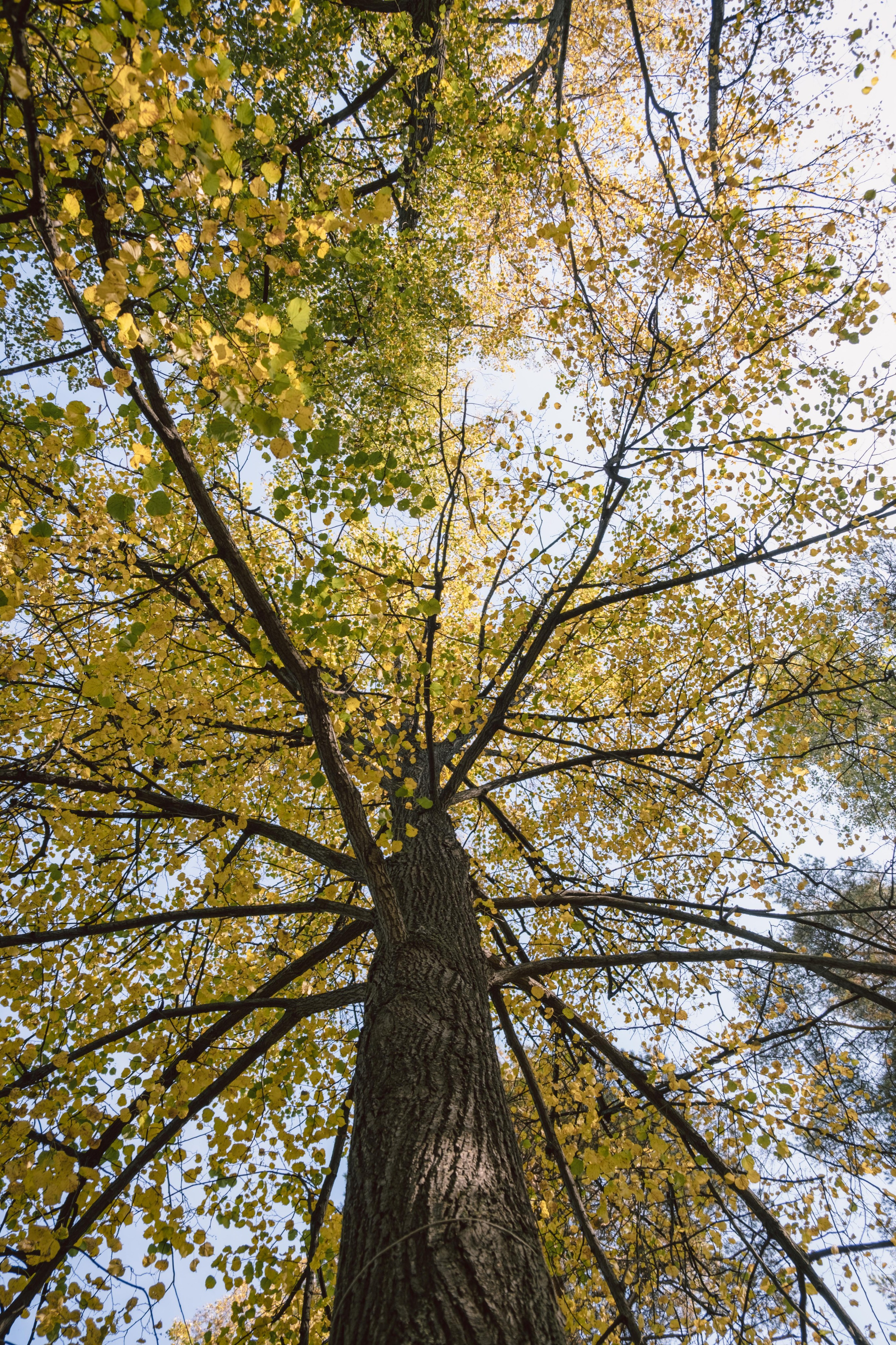Замечательная повседневность. Контент-фотограф и видеограф в Перми