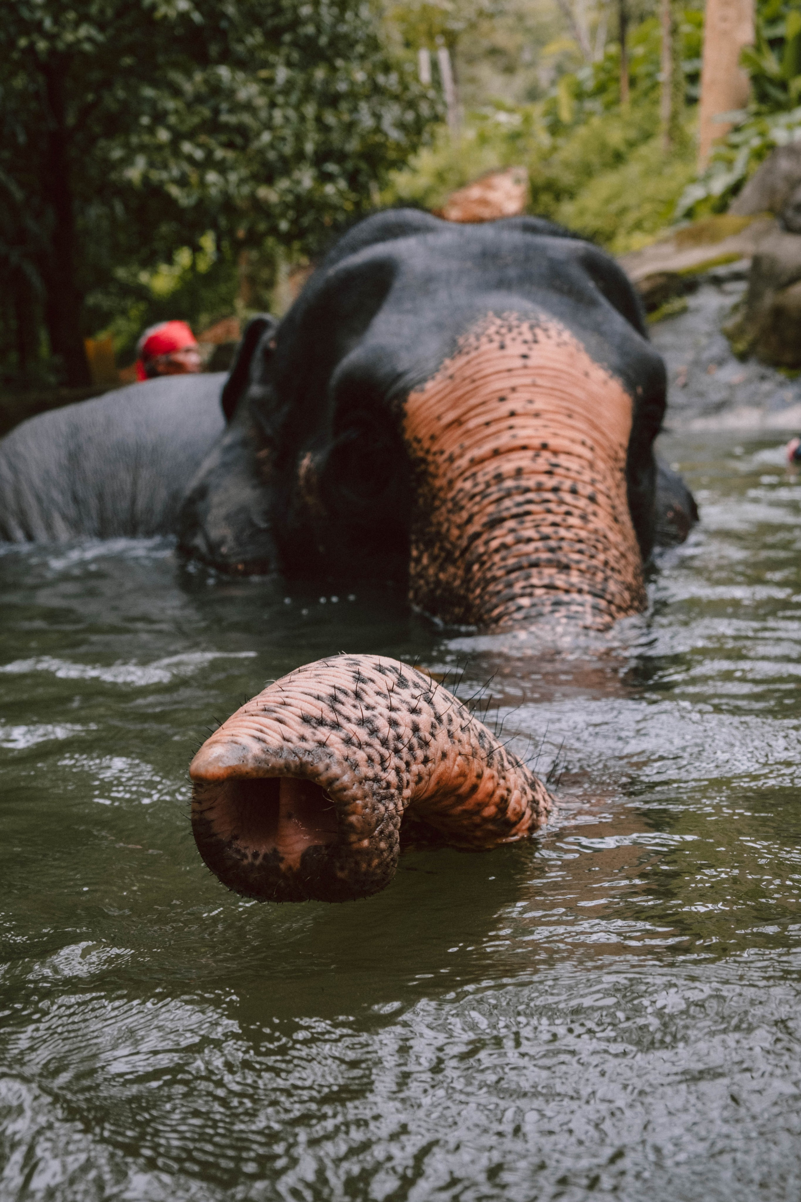 Путешествия. Контент-фотограф и видеограф в Перми
