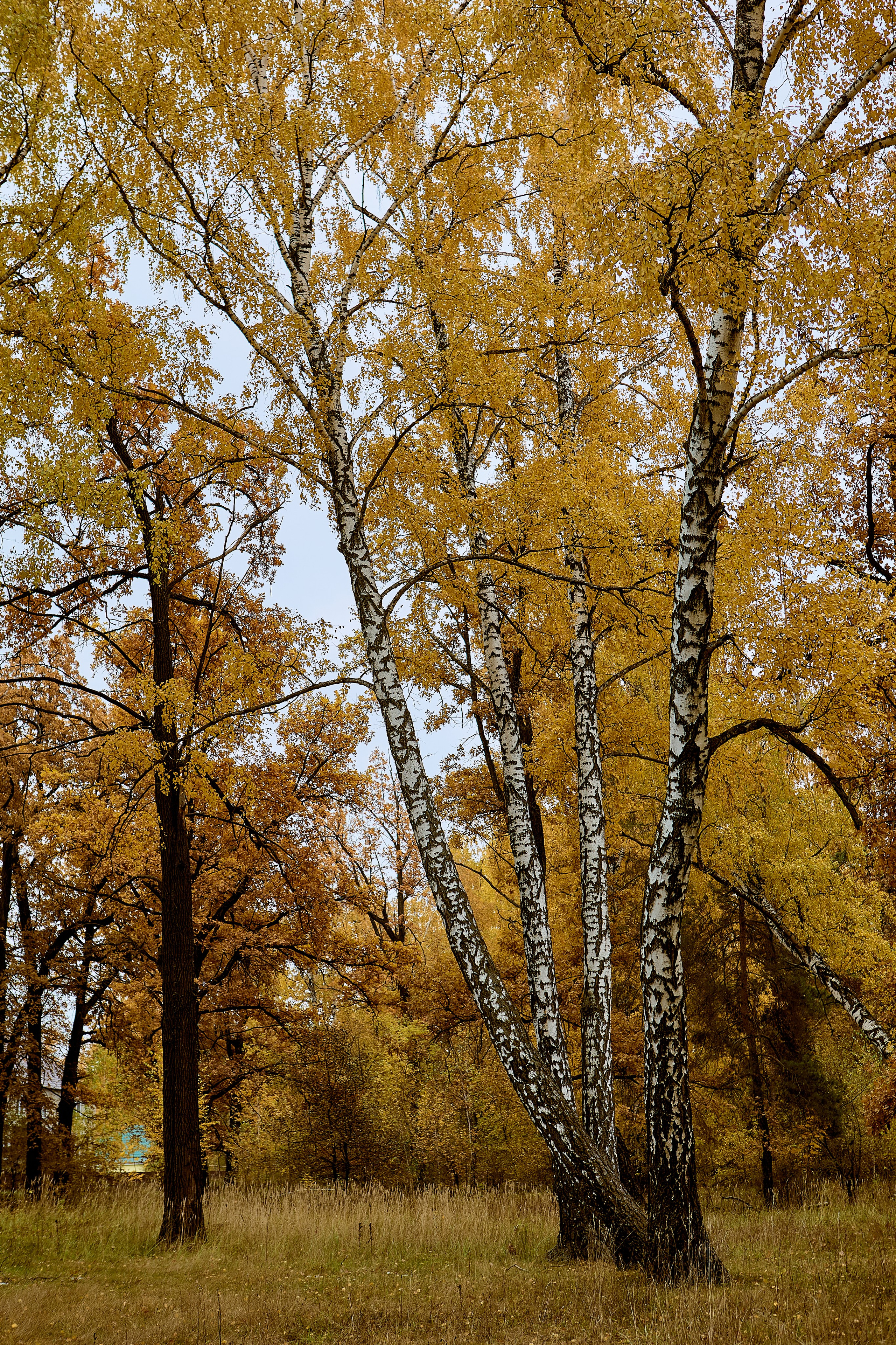 Фотографии природы