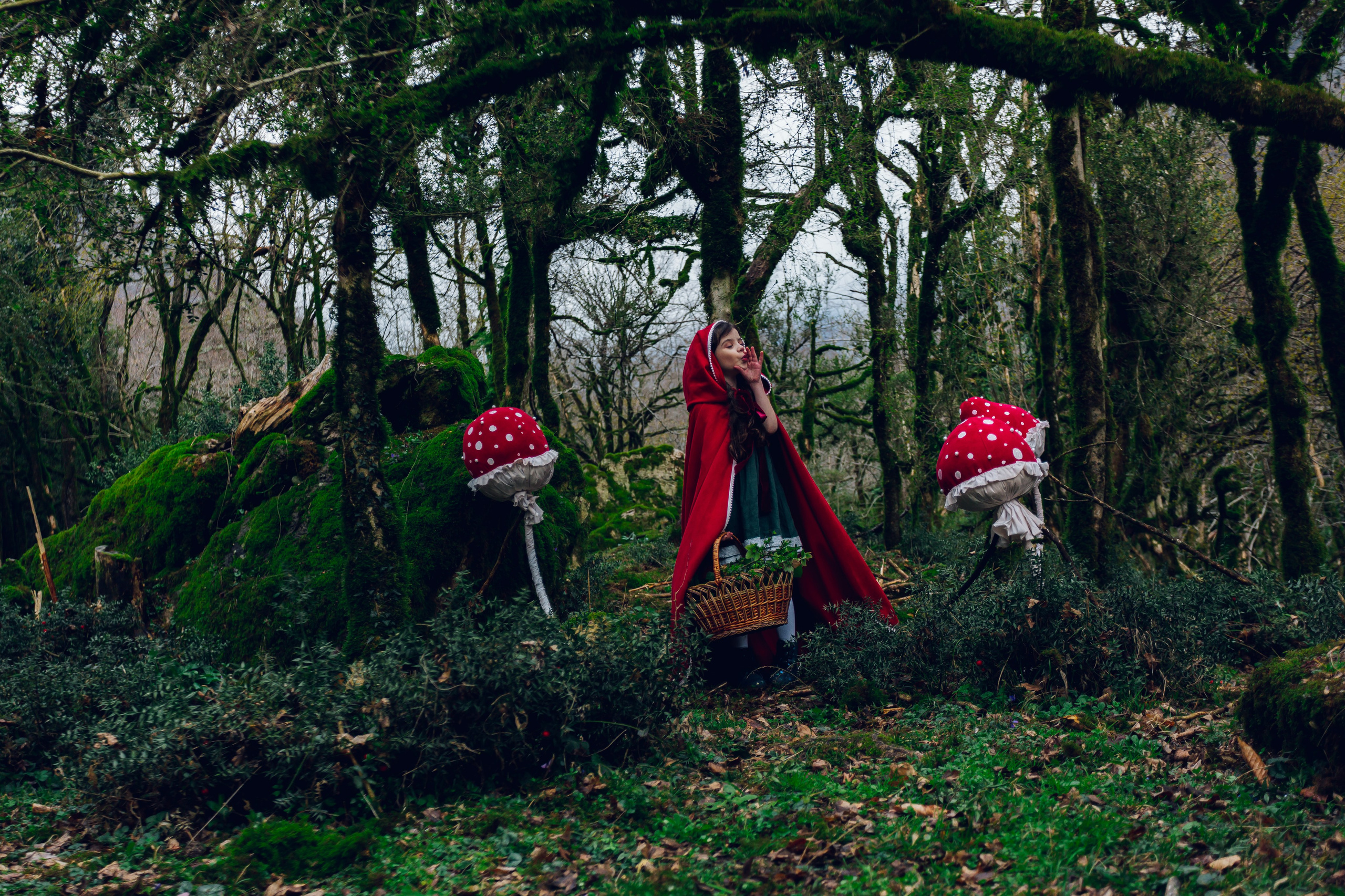 Самшитовая роща. Семейный и художественный фотограф в Тюмени Юлия Логинова