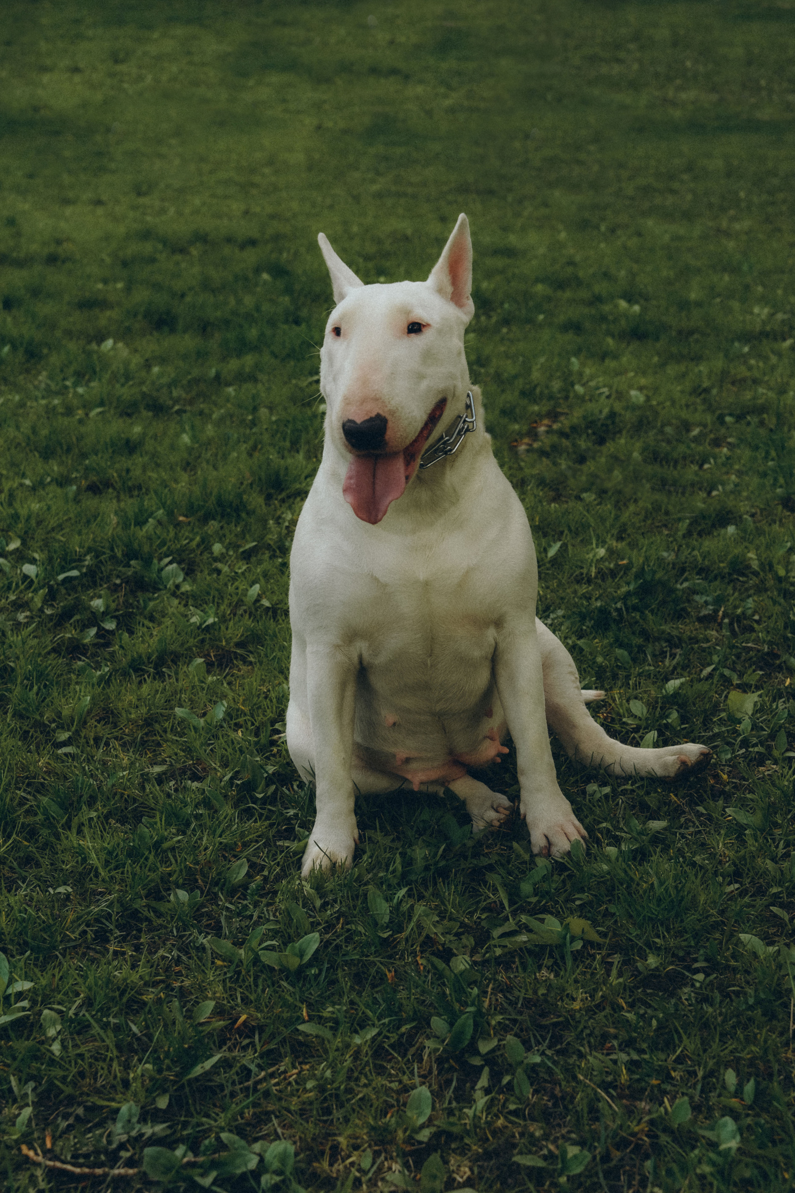 Ангелина Арбатова. Фотограф в Москве Ангелина Ким
