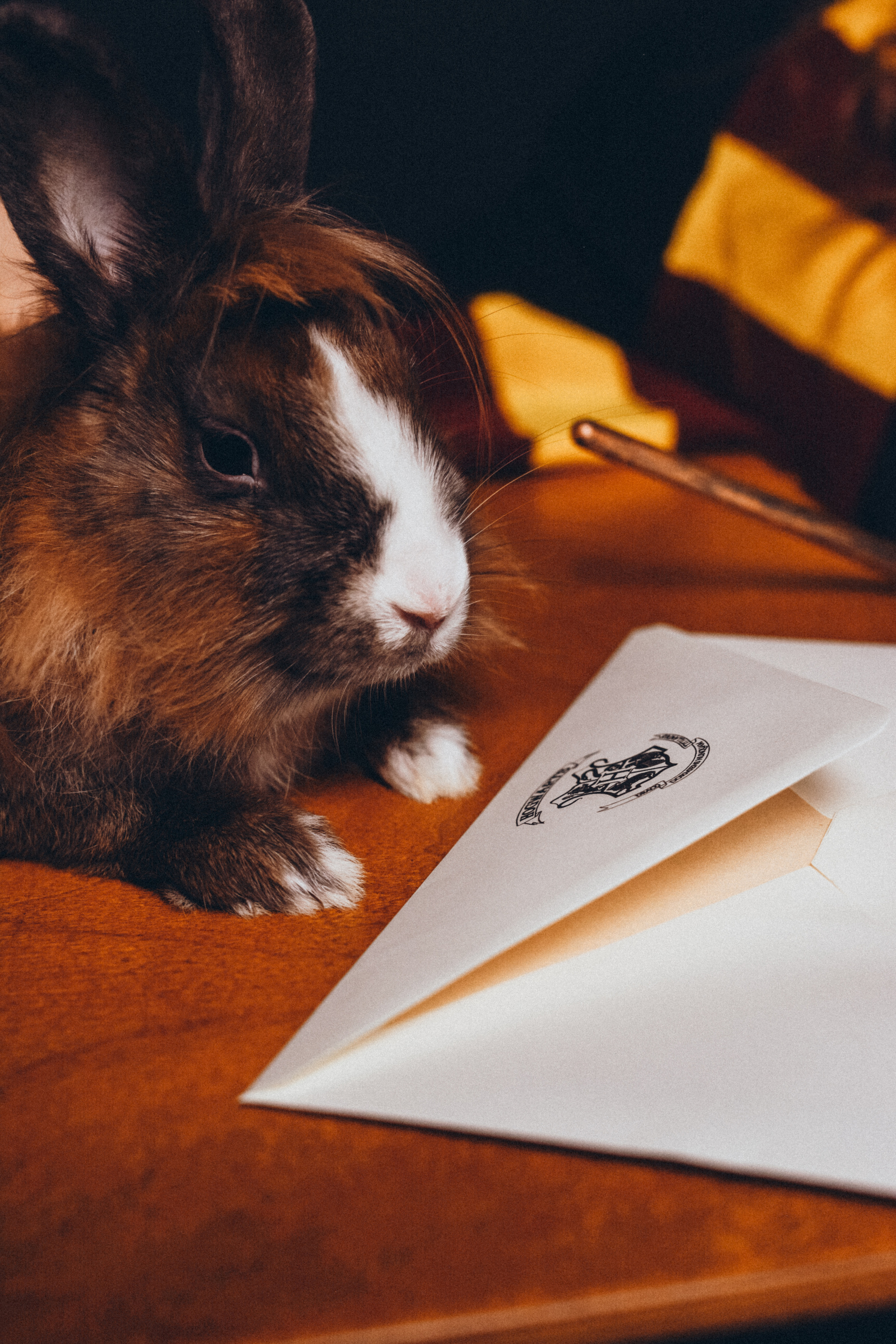 Анастасия Угренинова. Фотограф в Москве Ангелина Ким