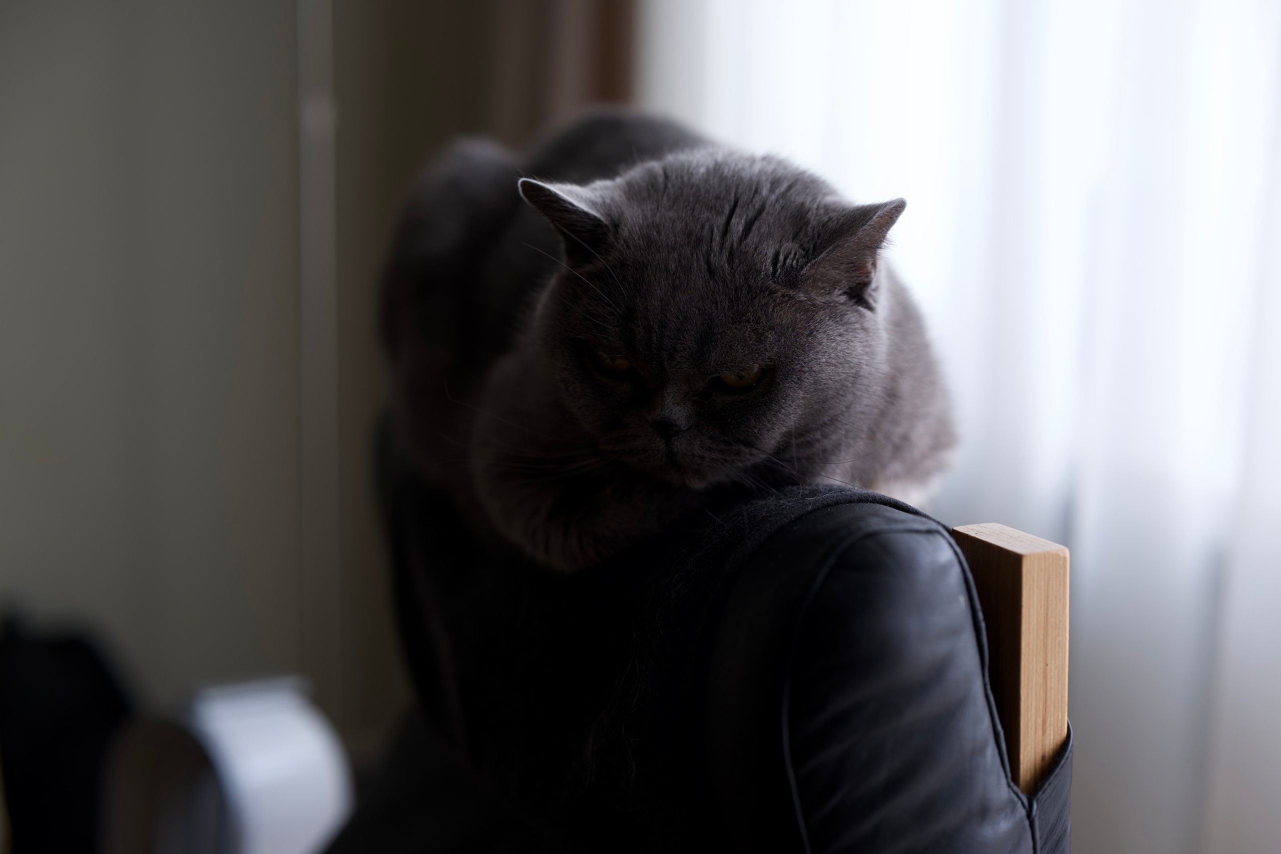 Руша. Владимир Власюк