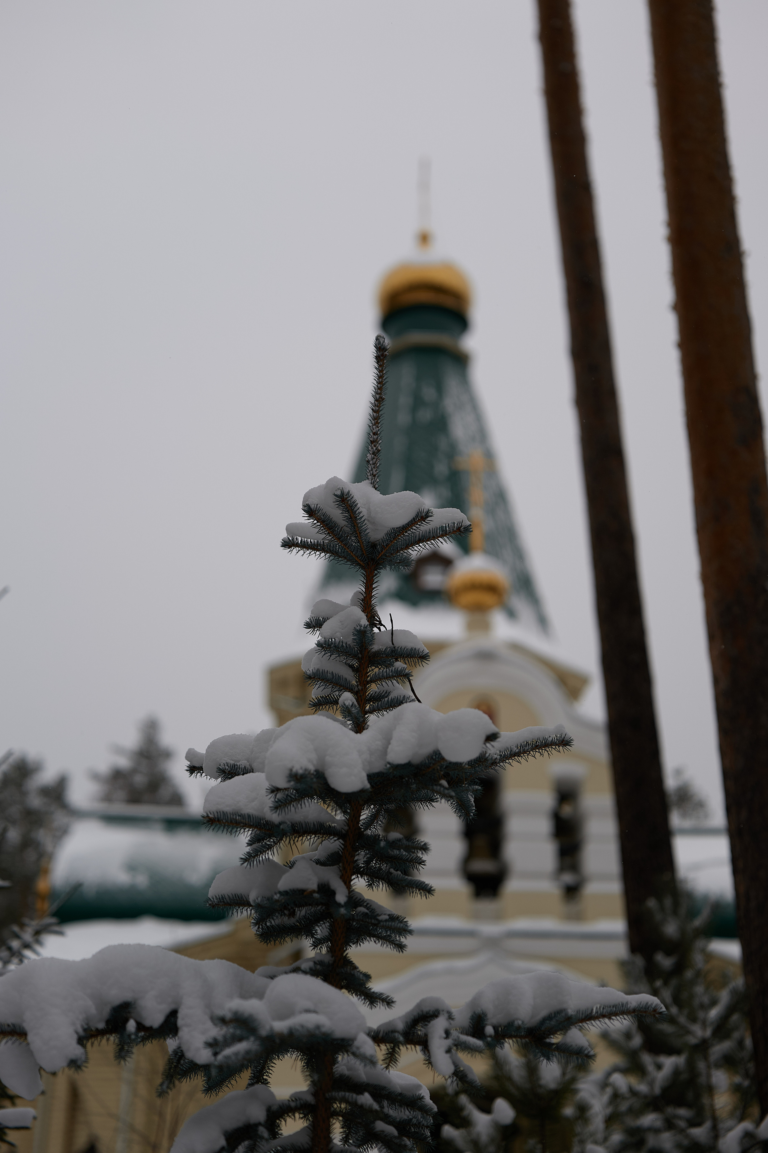 2021. Владимир Власюк