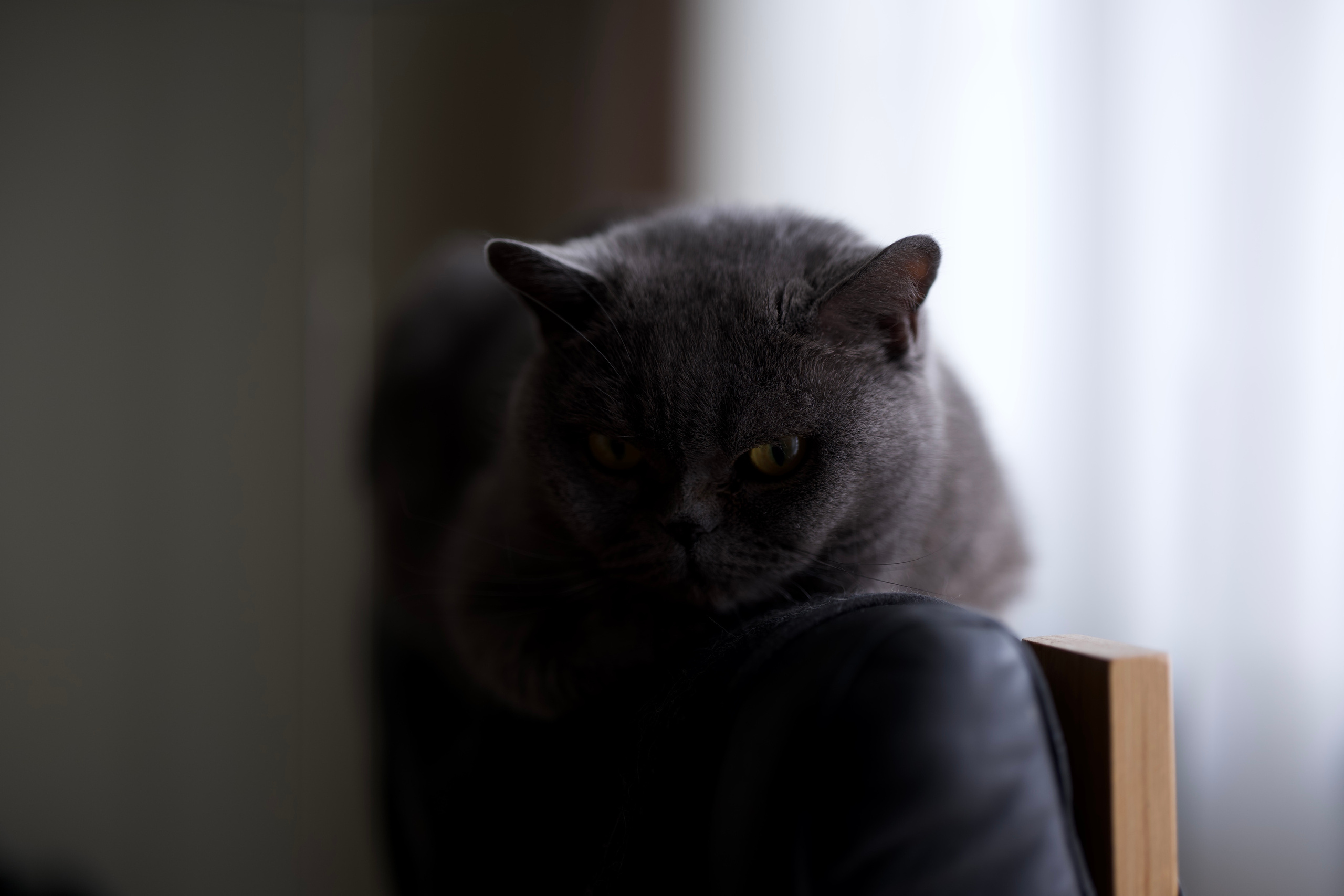 Руша. Владимир Власюк