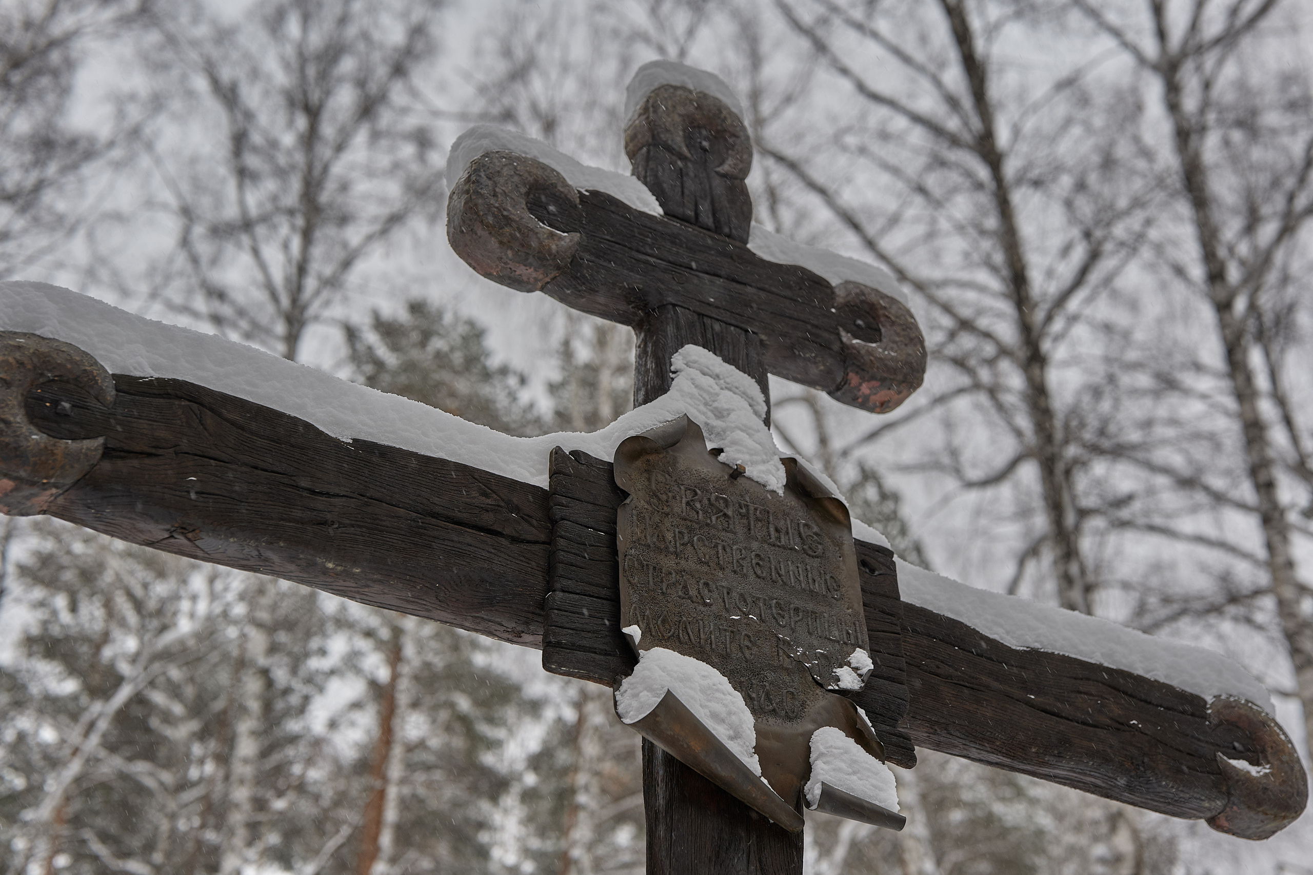 2021. Владимир Власюк